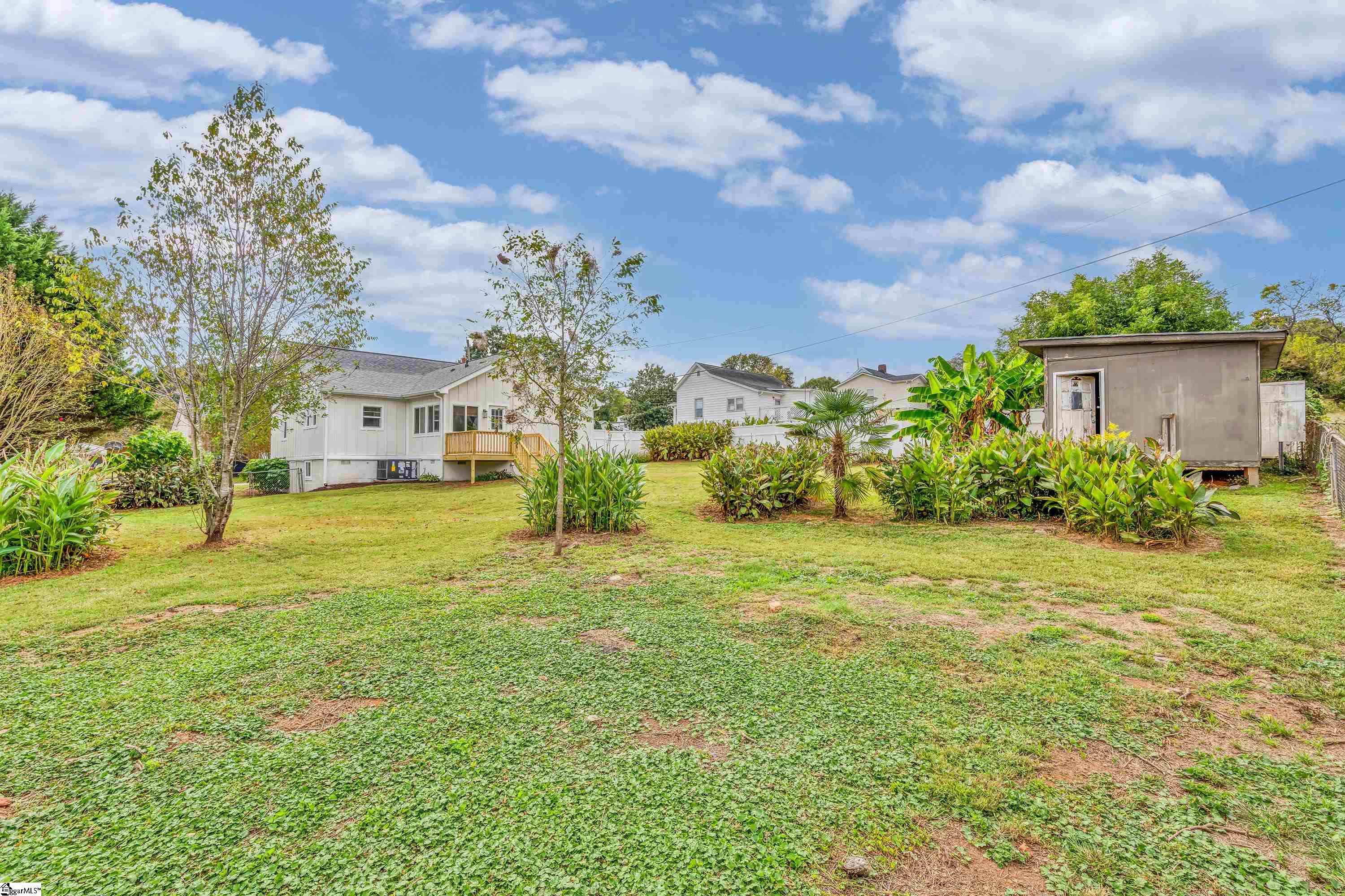 11 Haynes Street Property Photo 28