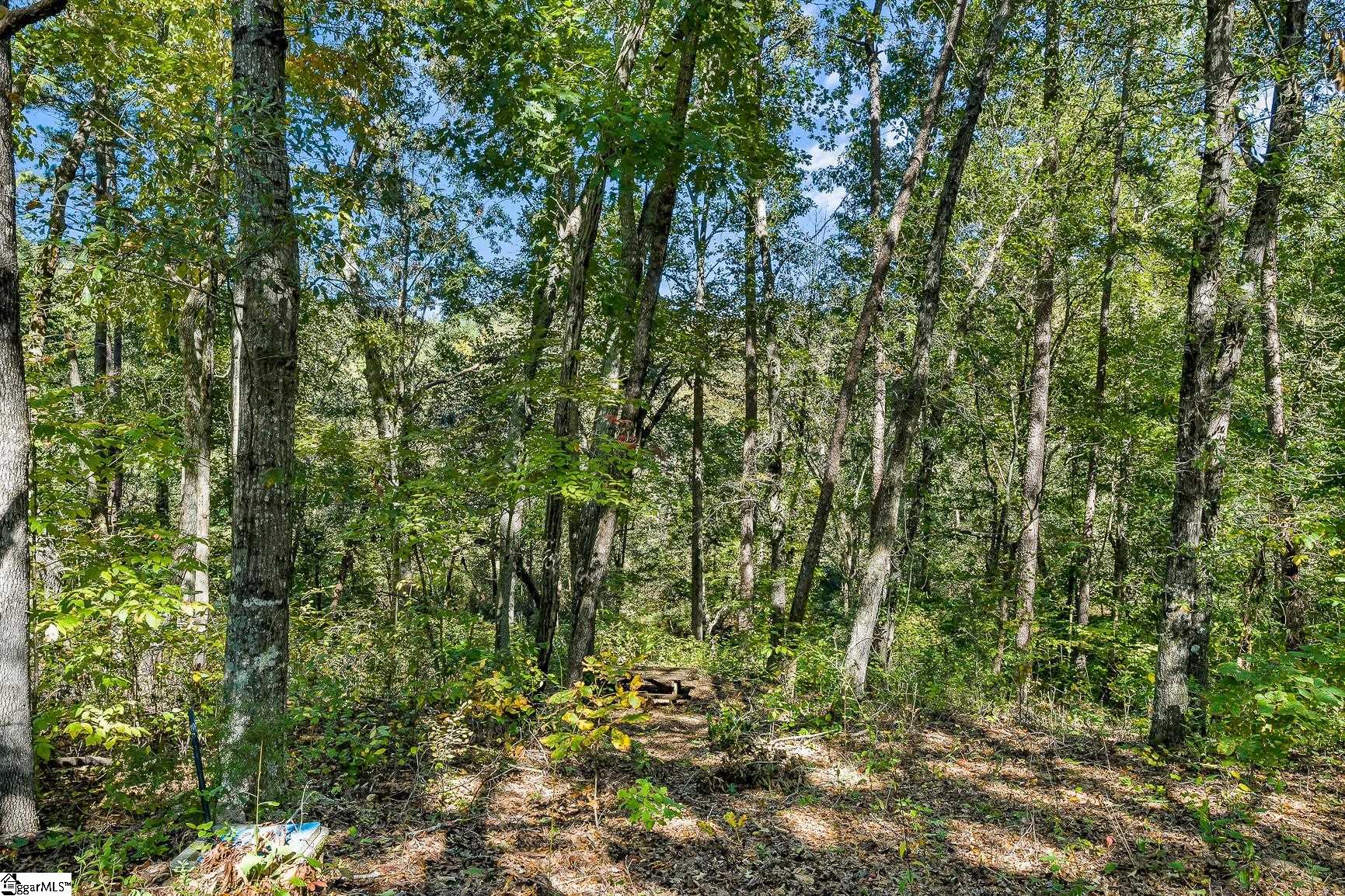 Lot 6 Hunters Trail Property Photo 4