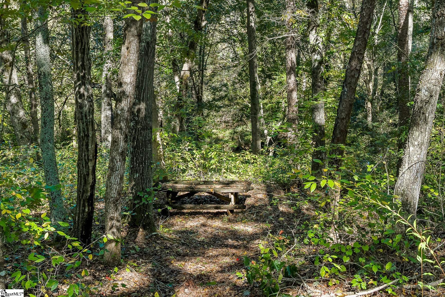 Lot 6 Hunters Trail Property Photo 5