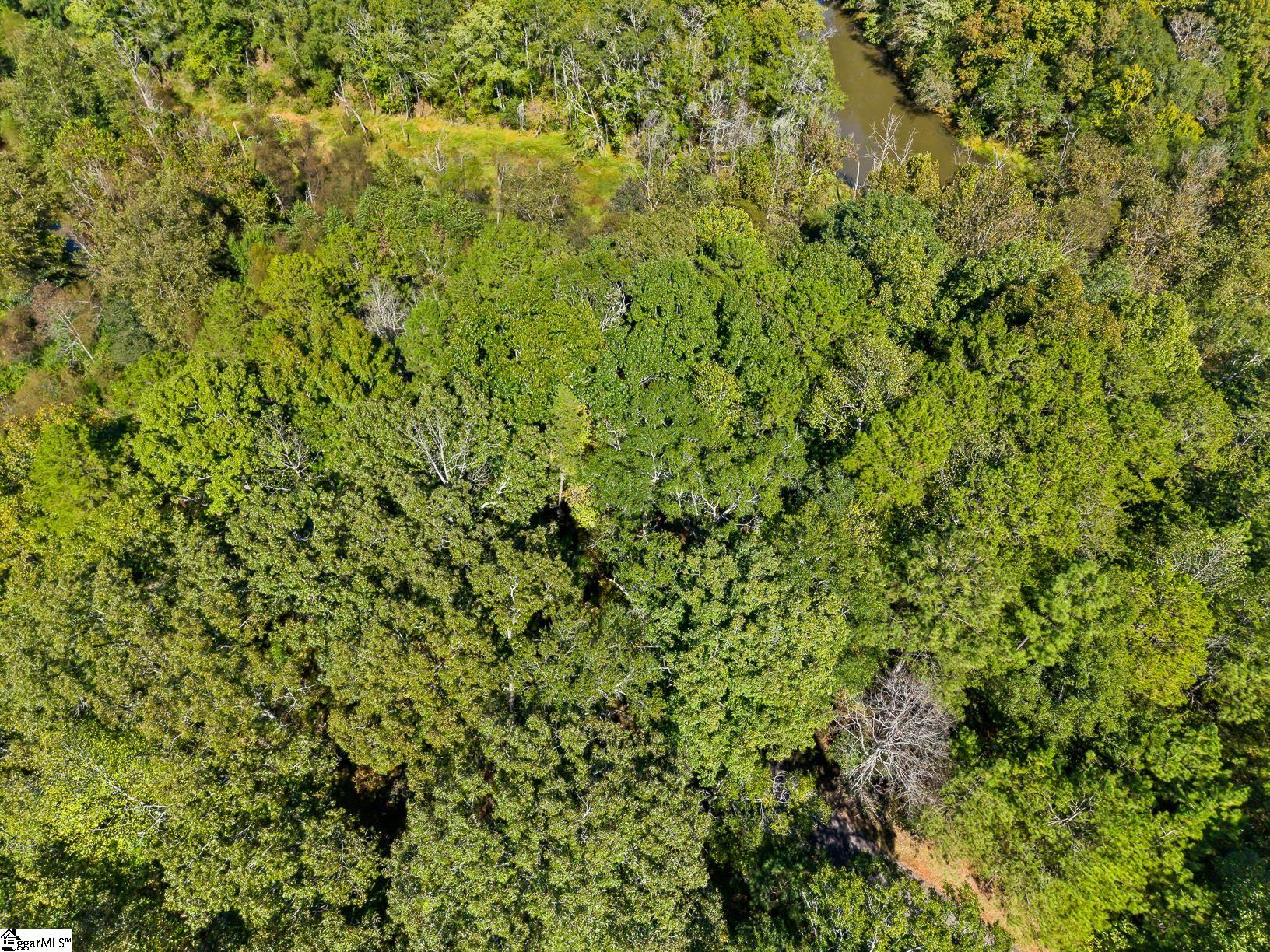 Lot 6 Hunters Trail Property Photo 6