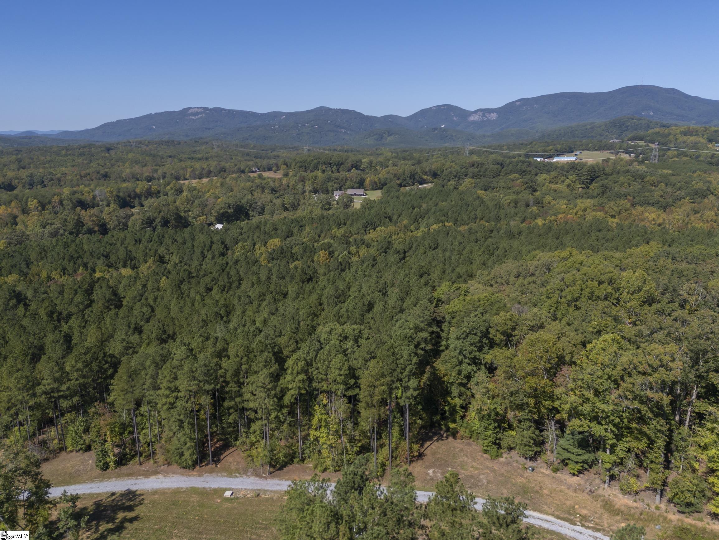 1606780 Property Photo 6