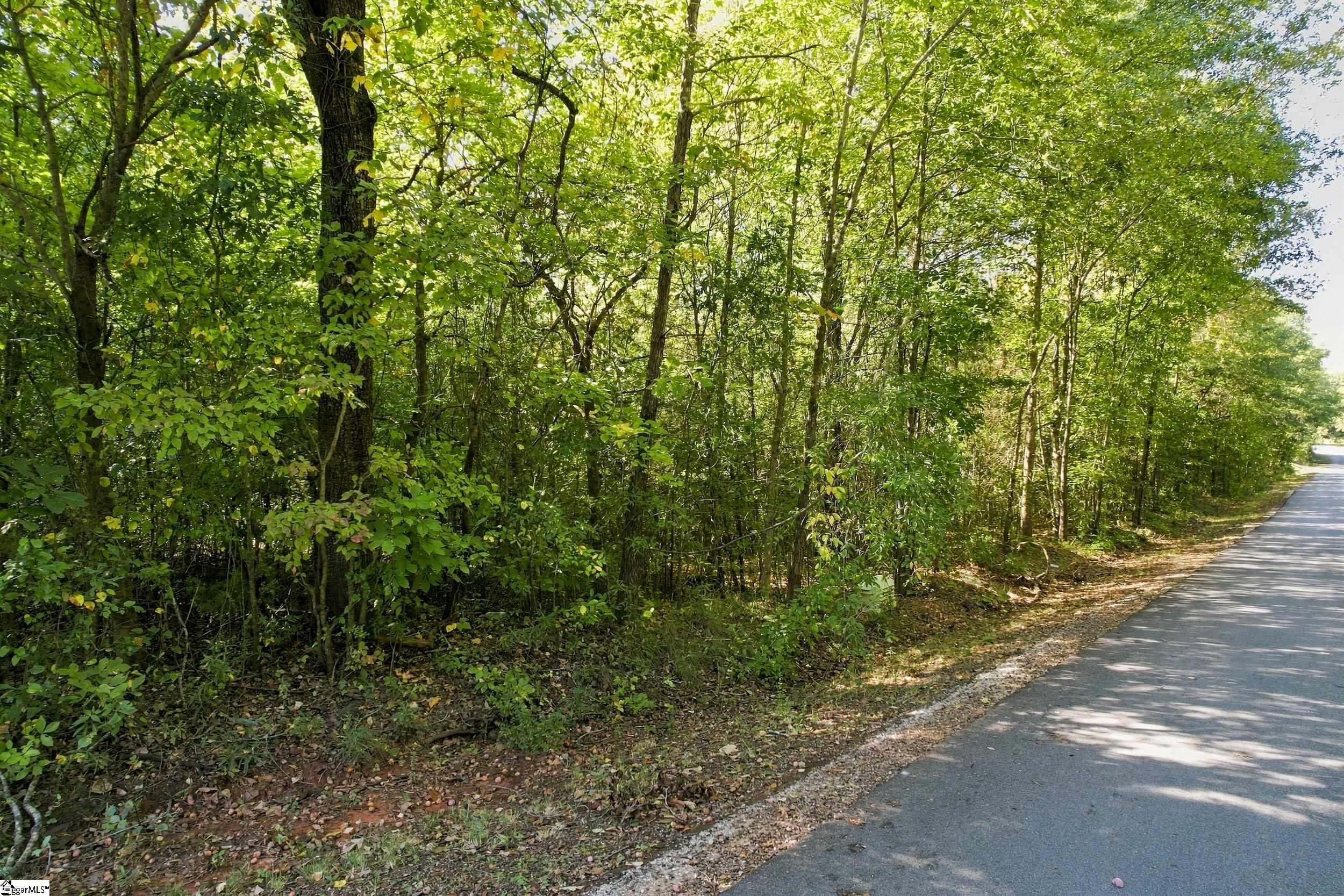 46 Mountain View School Road Property Photo 4