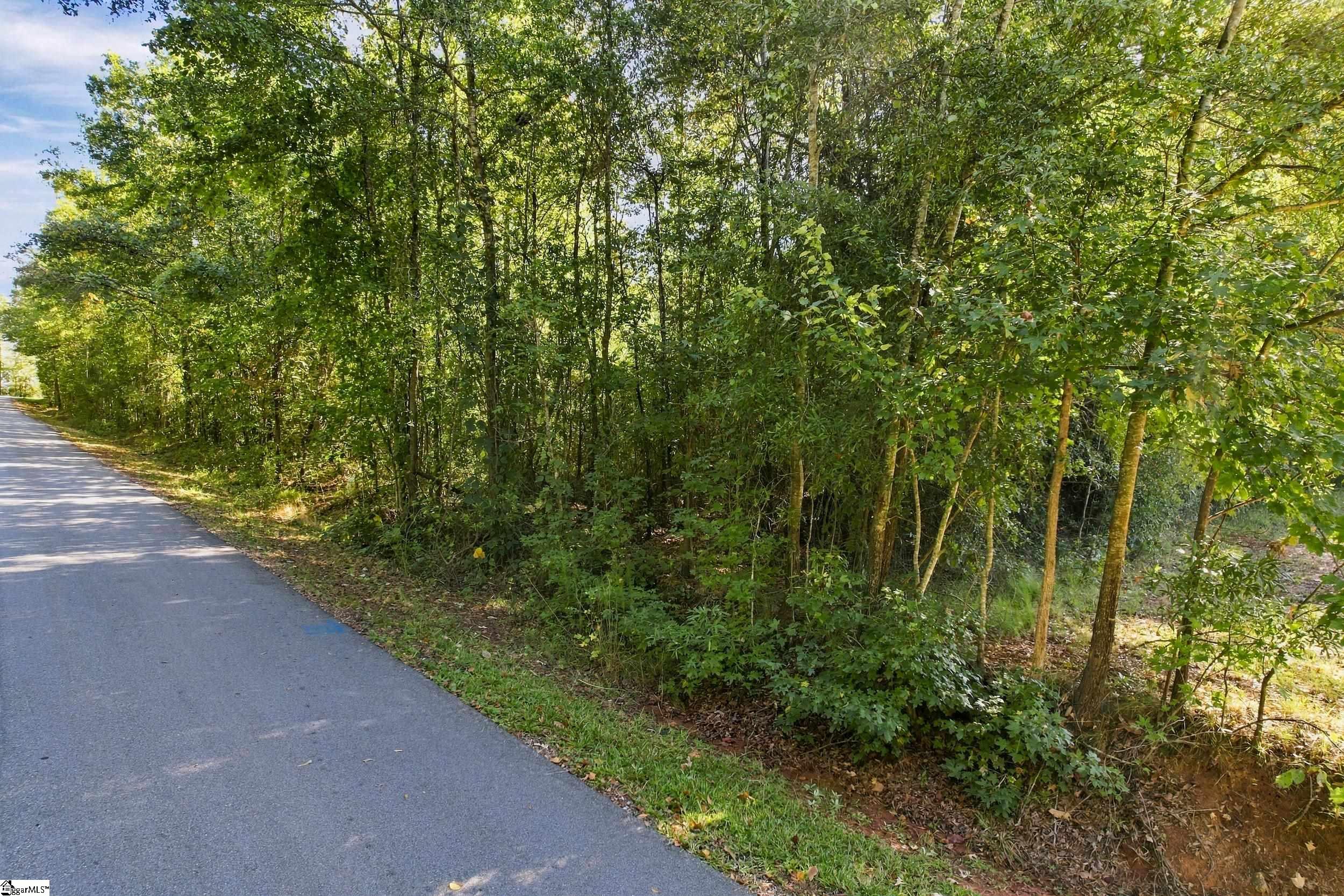 46 Mountain View School Road Property Photo 5