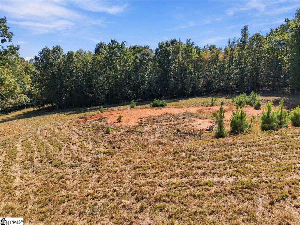 151 Gunter Road Property Photo 6