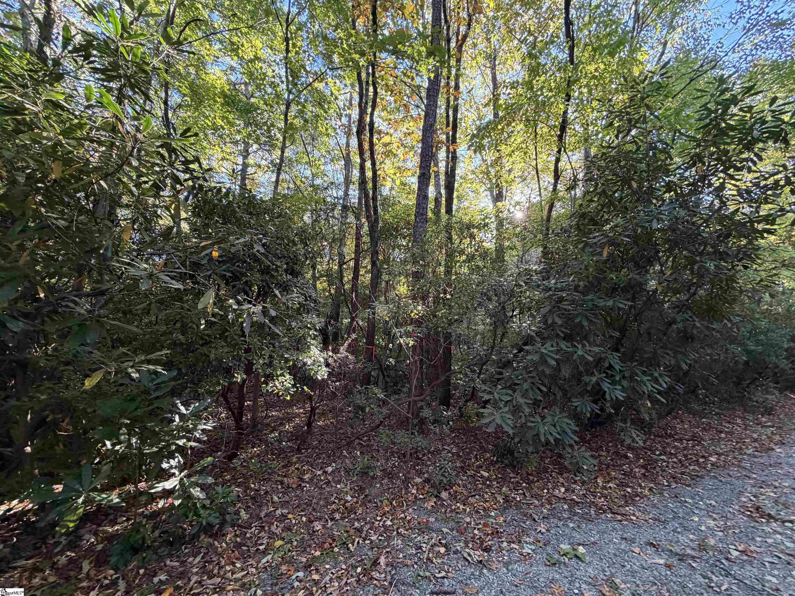 Lot 88 Upper Oil Camp Road Property Photo 1