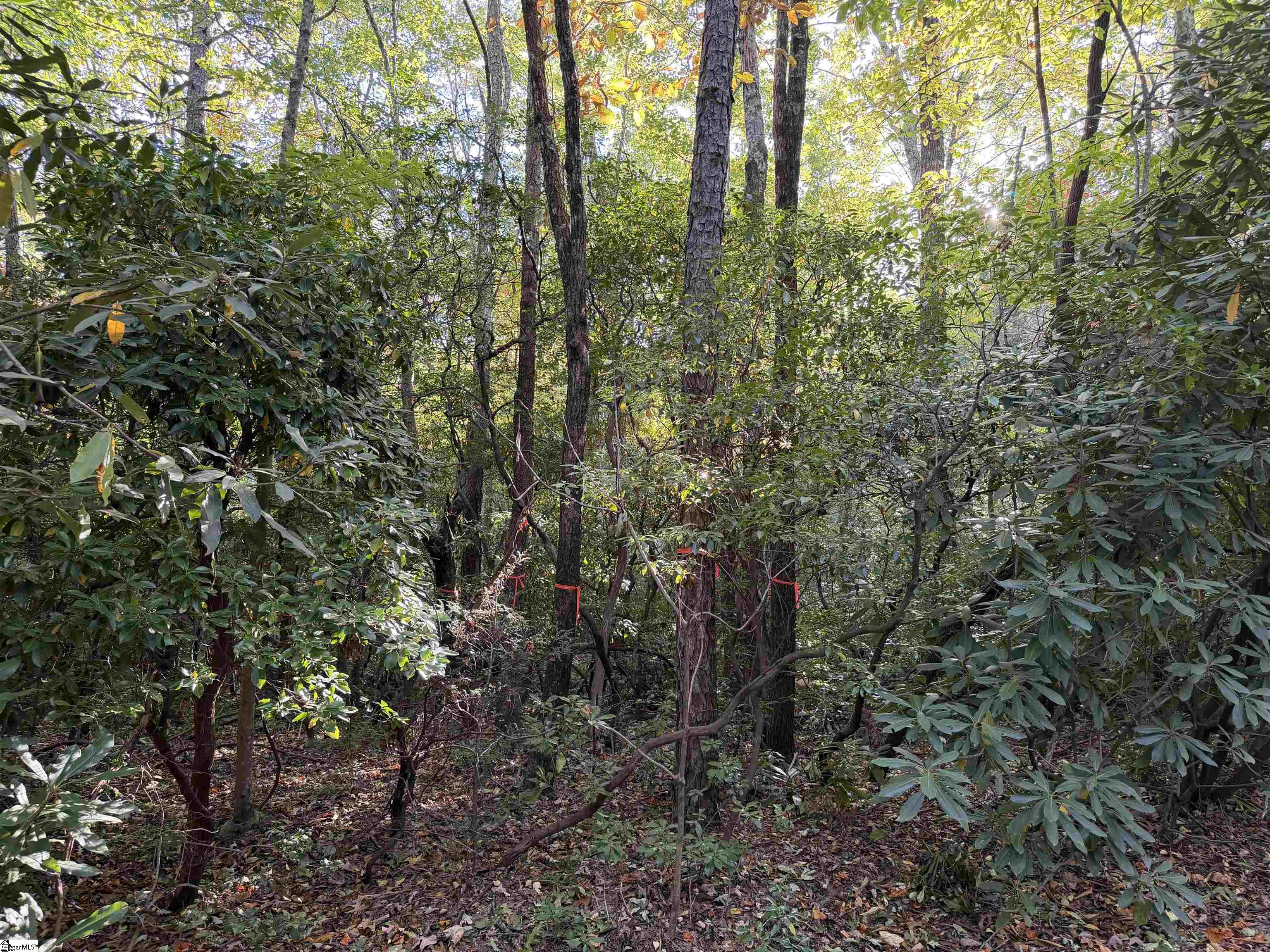 Lot 88 Upper Oil Camp Road Property Photo 4