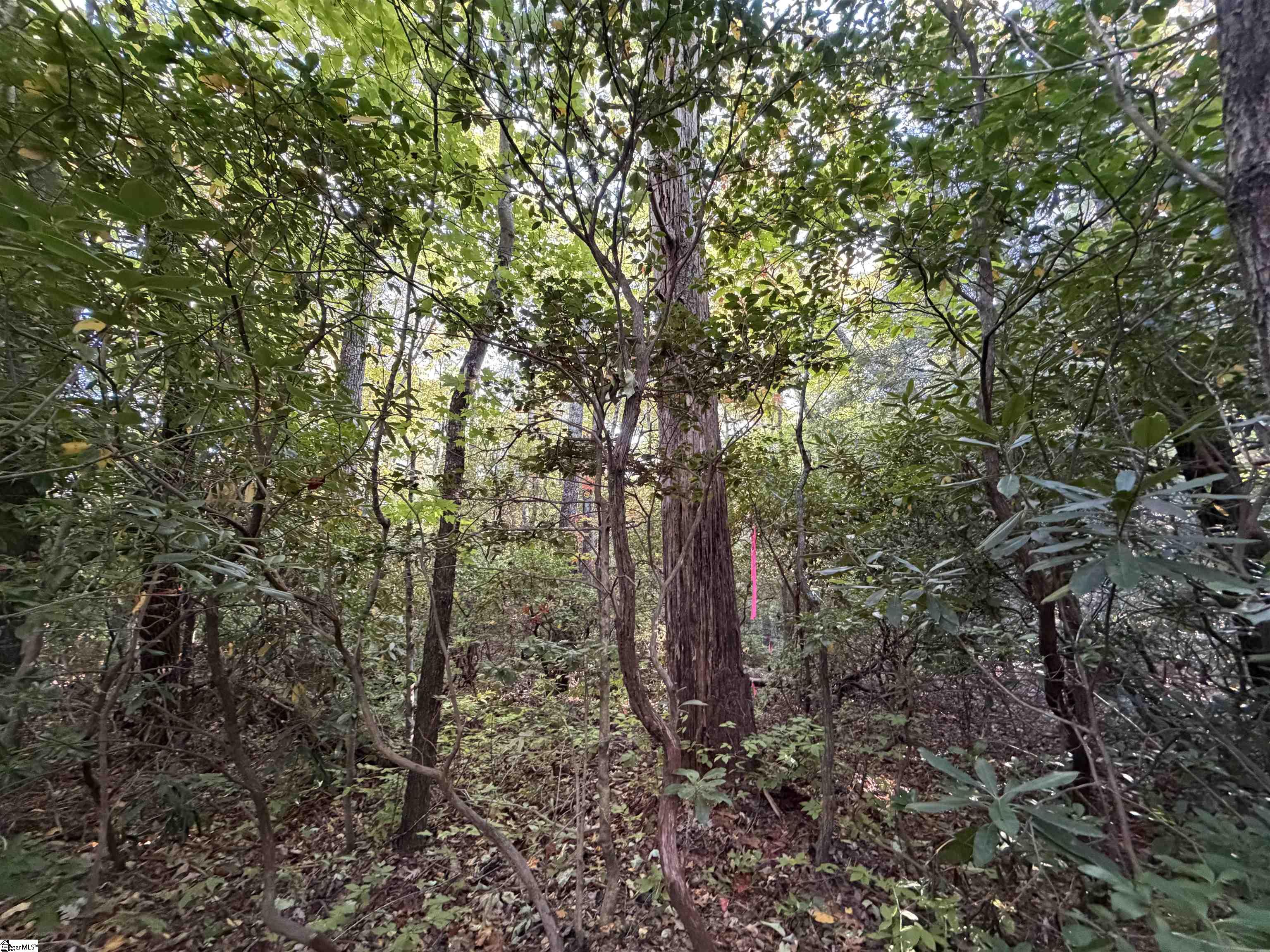 Lot 88 Upper Oil Camp Road Property Photo 7