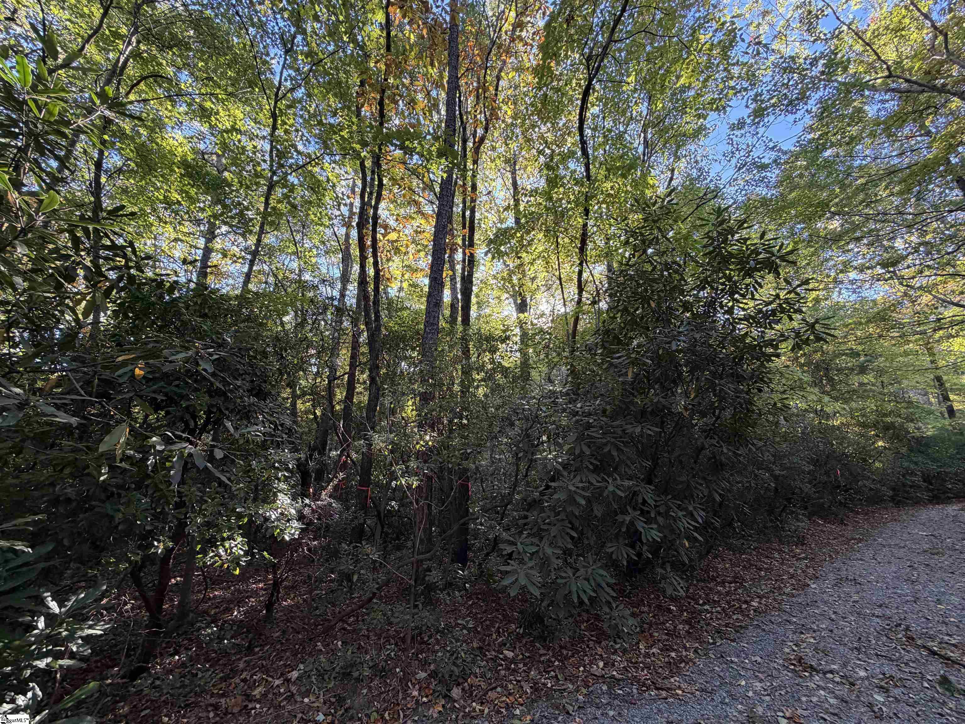 Lot 88 Upper Oil Camp Road Property Photo 8