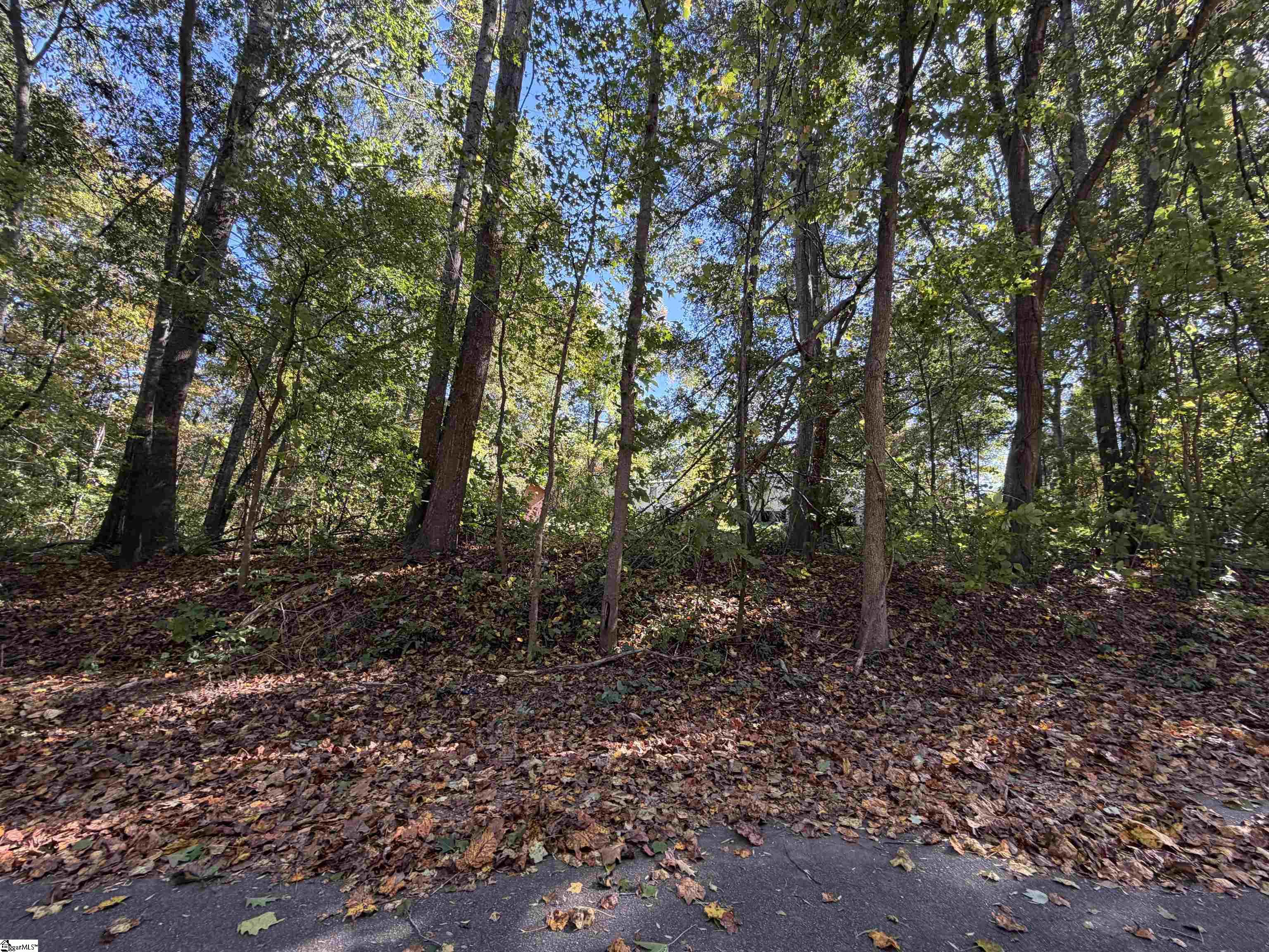 230 Shadow Hills Drive Property Photo 8