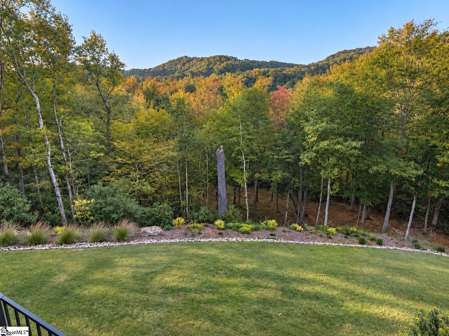 9 Buck Creek Trail Property Photo 25