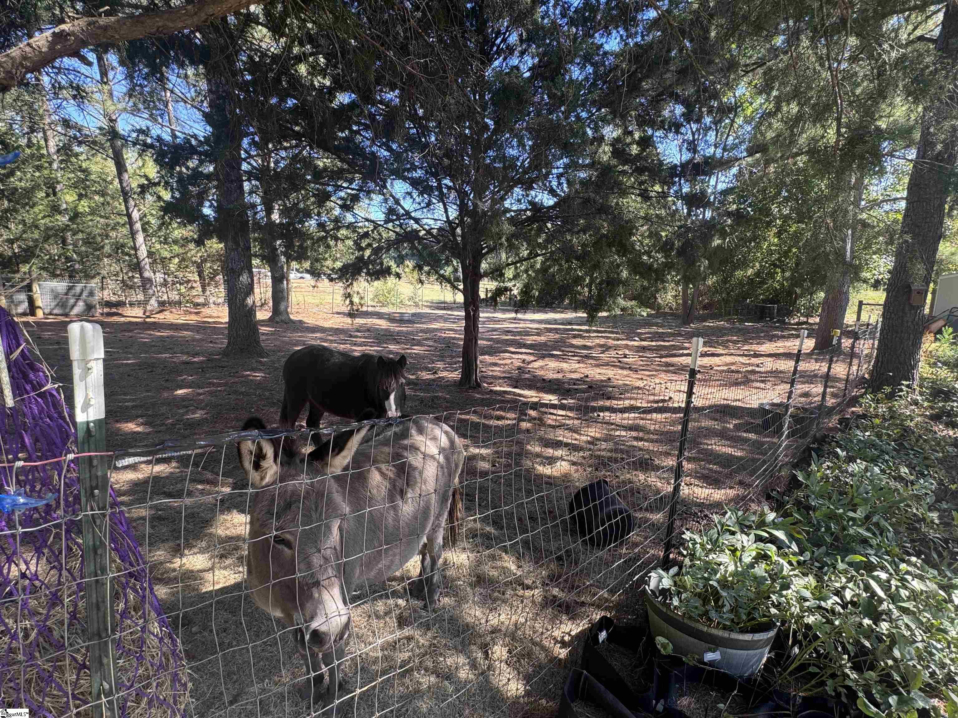 54 Axel Drive Property Photo 35