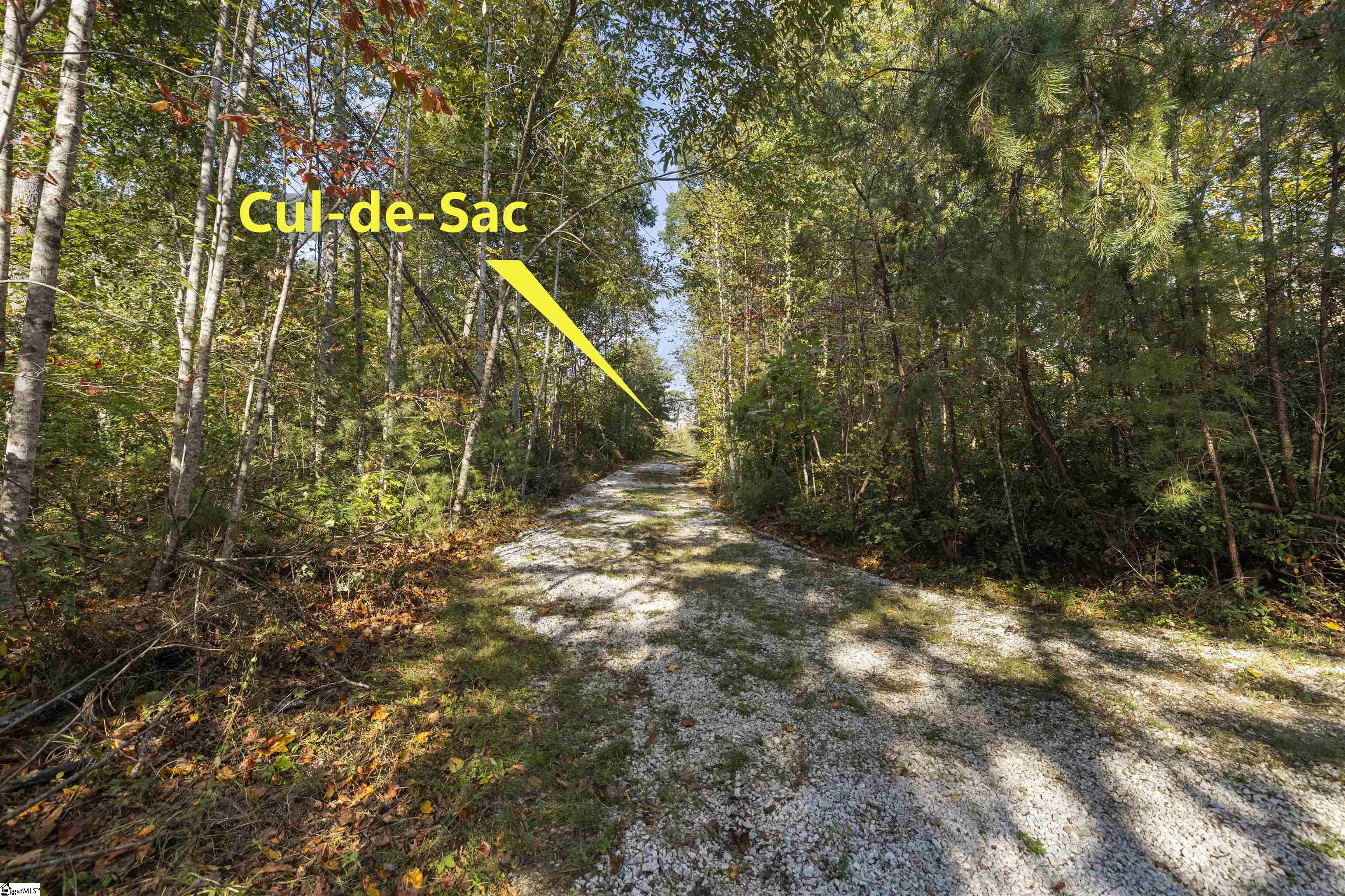 126 Valley Lake Trail Property Photo 4
