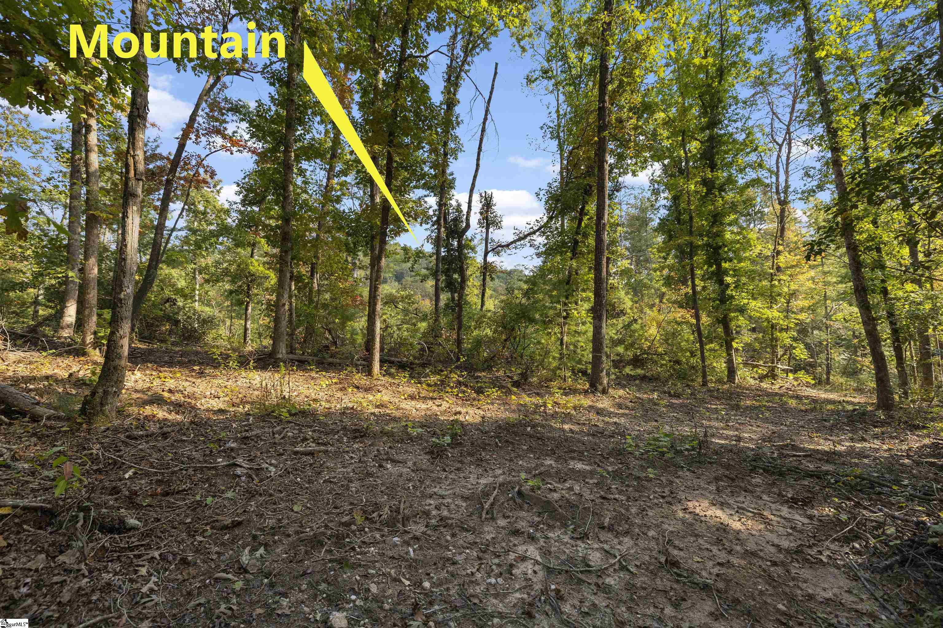 126 Valley Lake Trail Property Photo 12