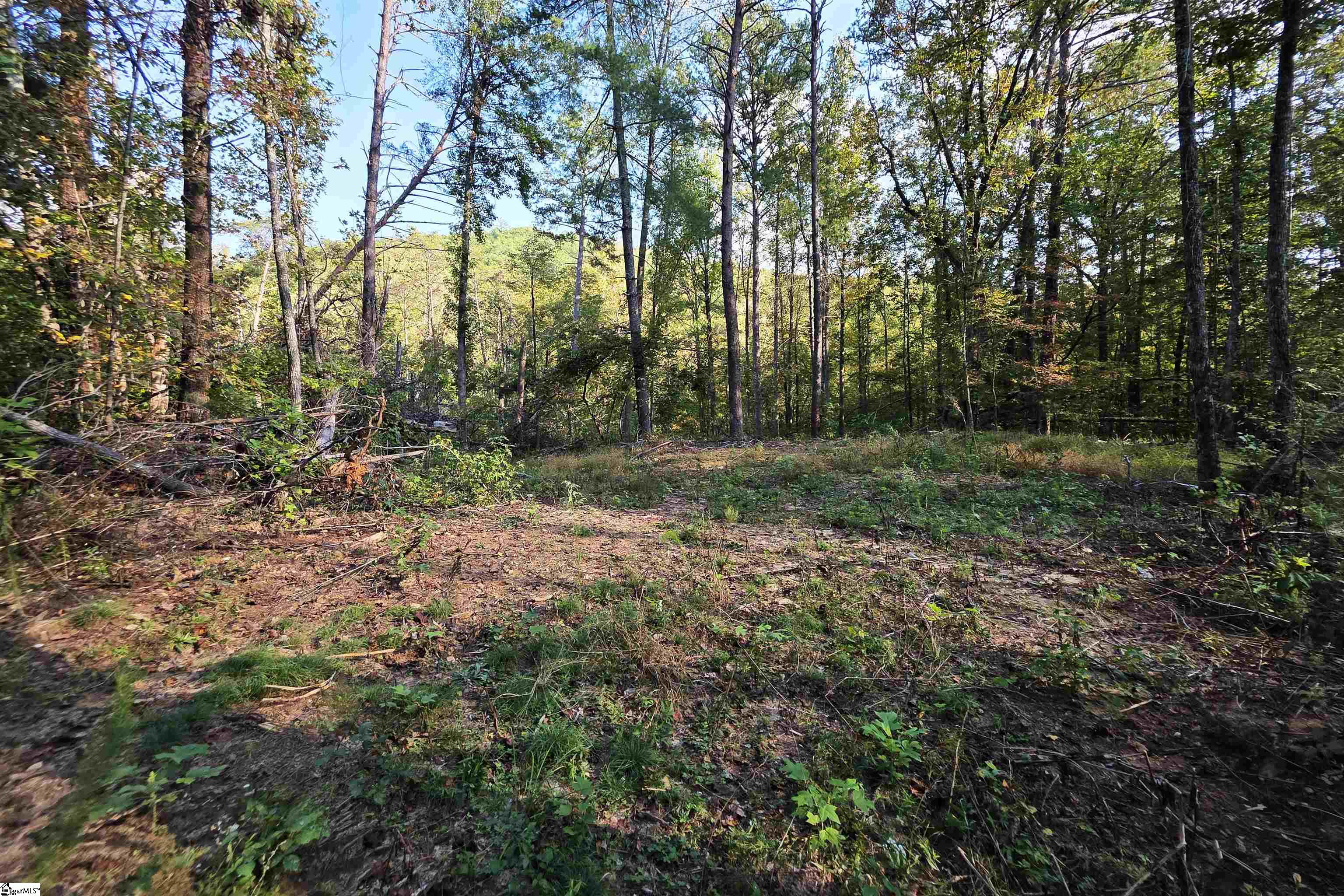 126 Valley Lake Trail Property Photo 13