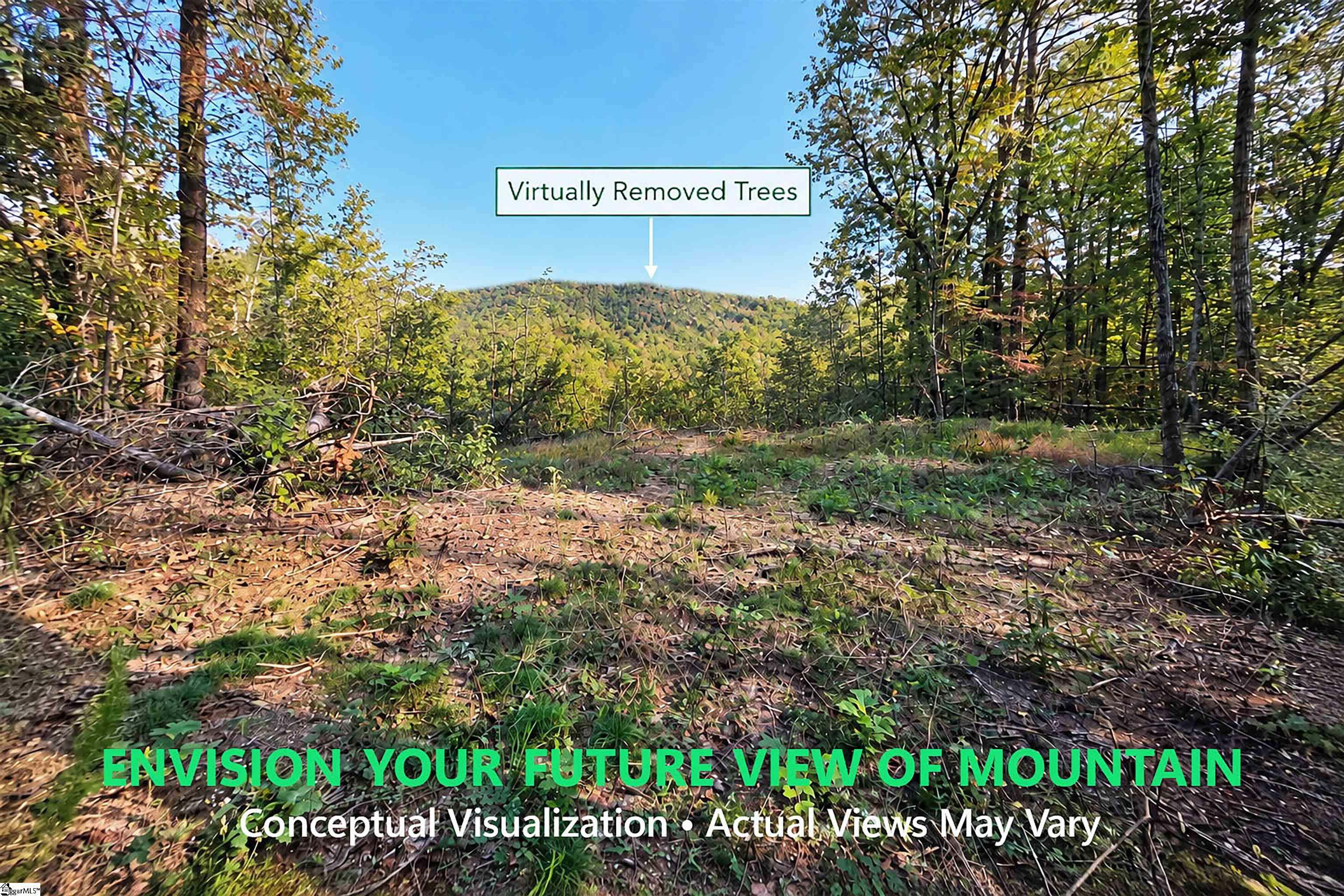 126 Valley Lake Trail Property Photo 14