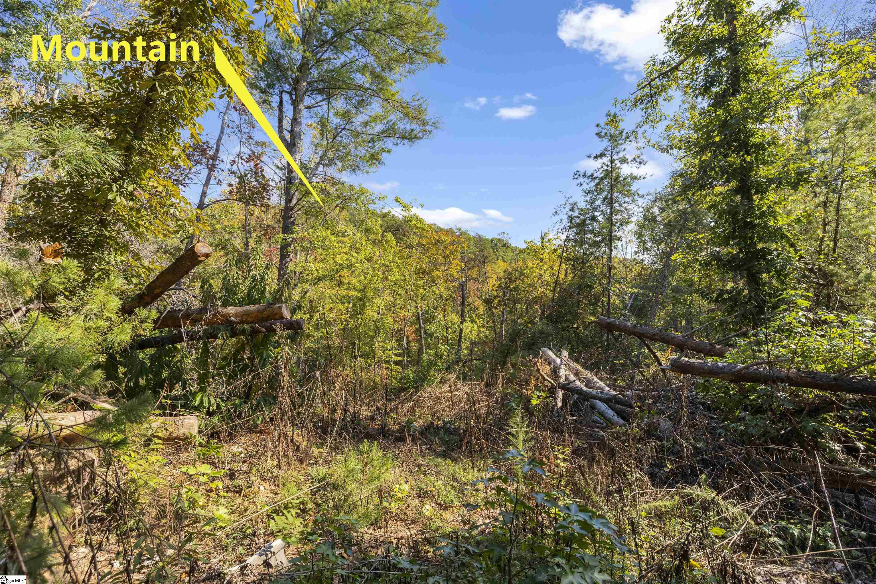 126 Valley Lake Trail Property Photo 15