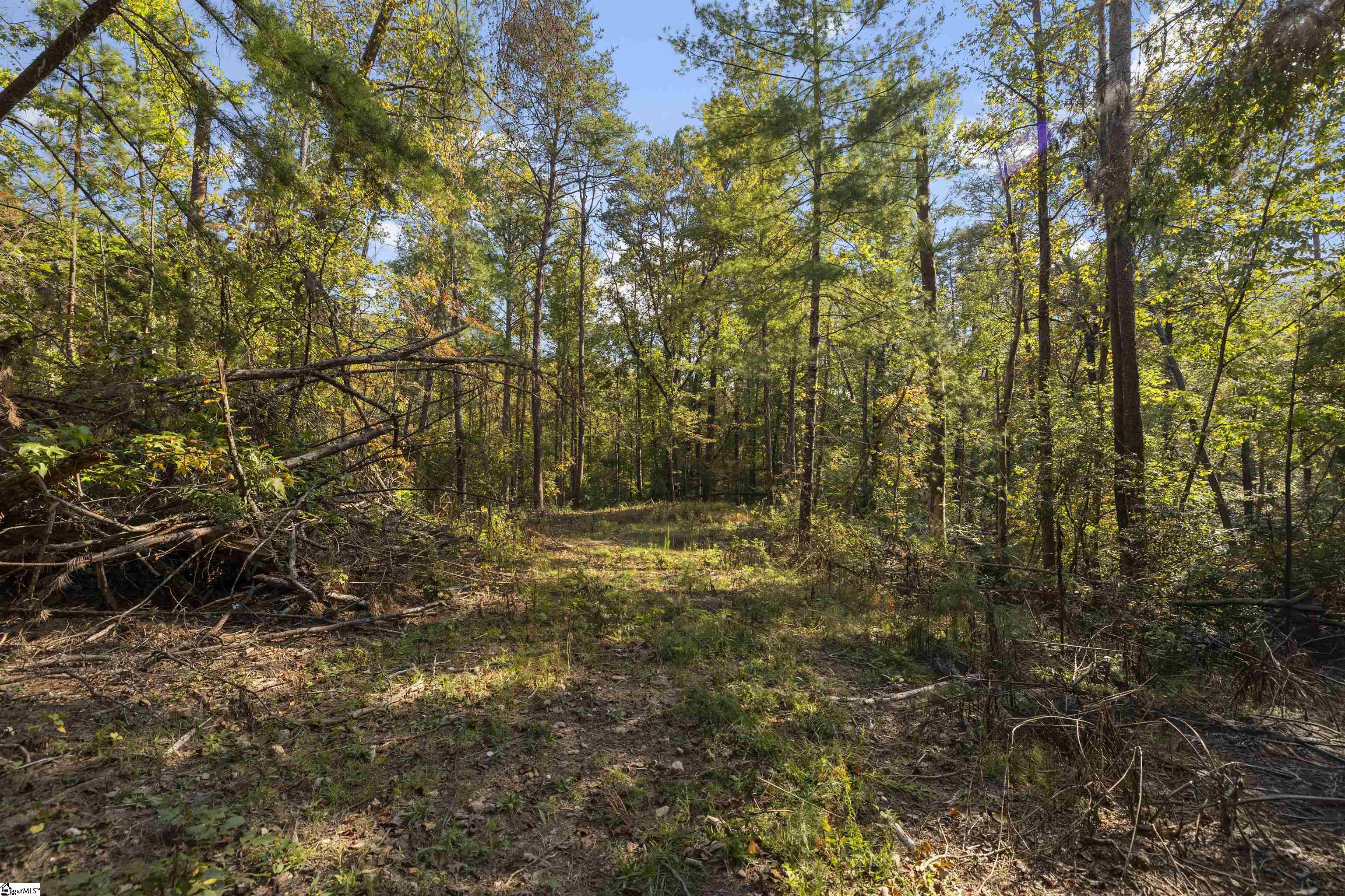 126 Valley Lake Trail Property Photo 18
