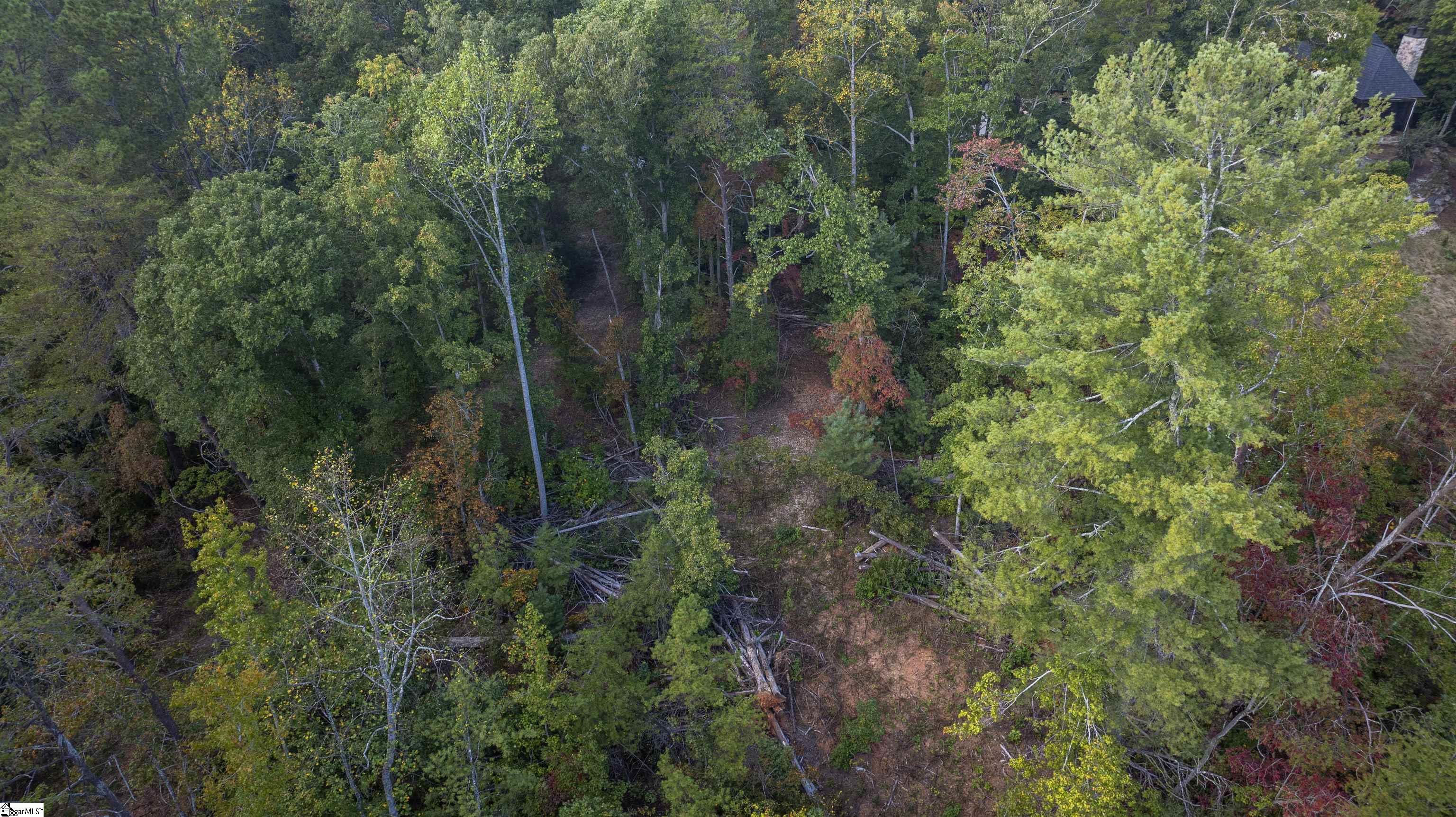 126 Valley Lake Trail Property Photo 25