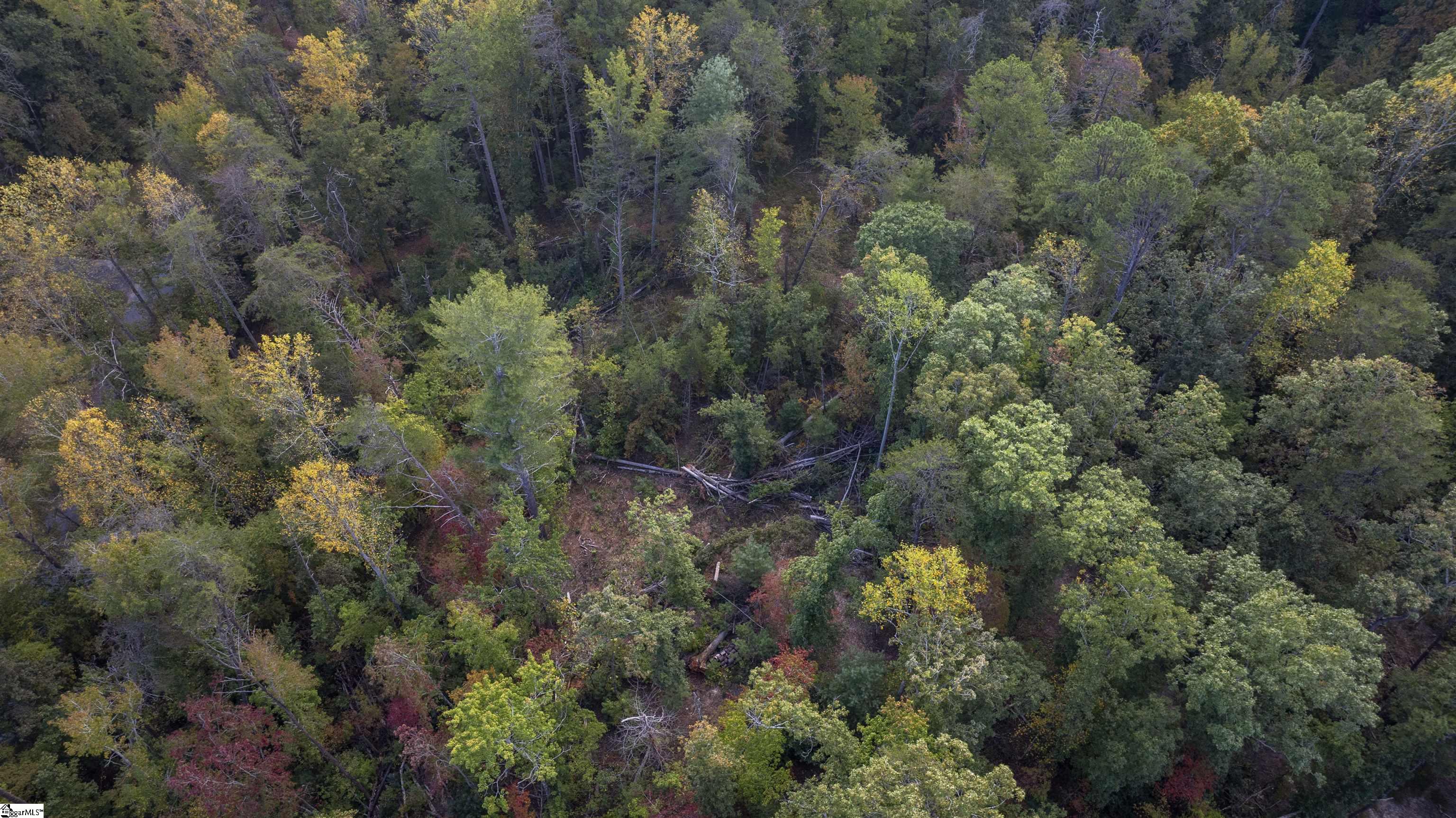 126 Valley Lake Trail Property Photo 26