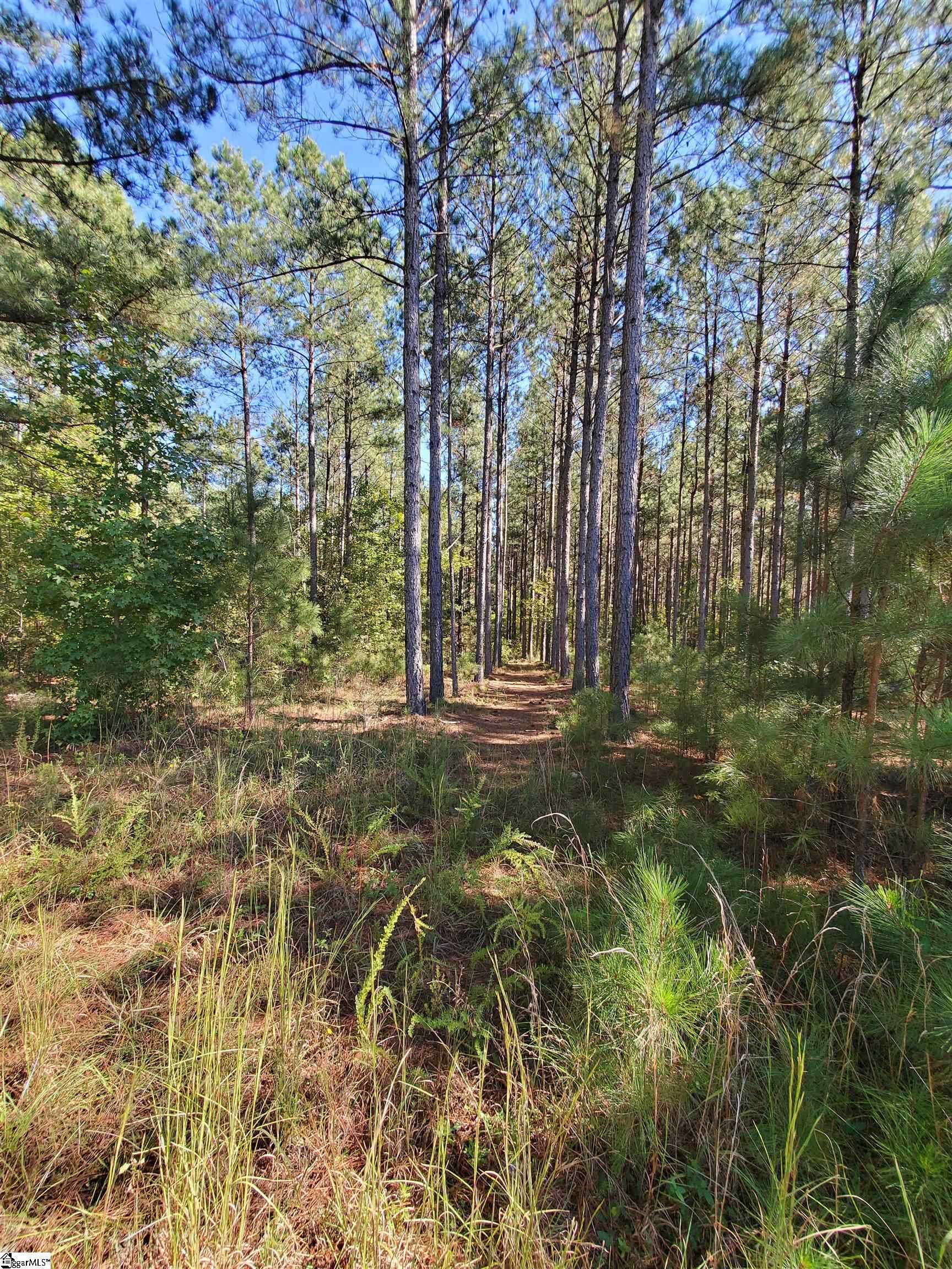 812 Tornado Road Property Photo 40