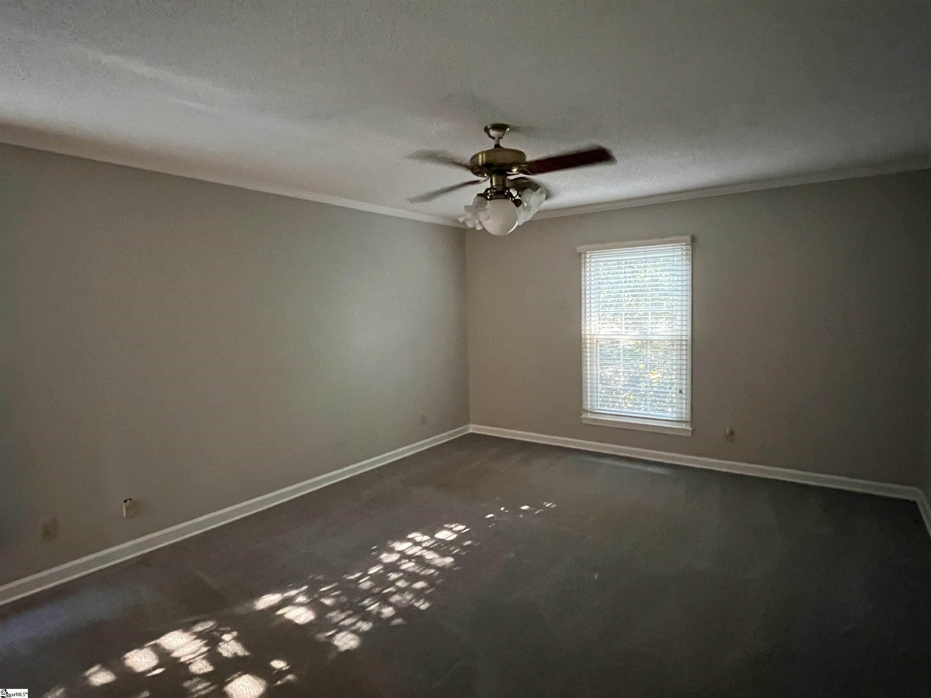 203 Moore Road Property Photo 15