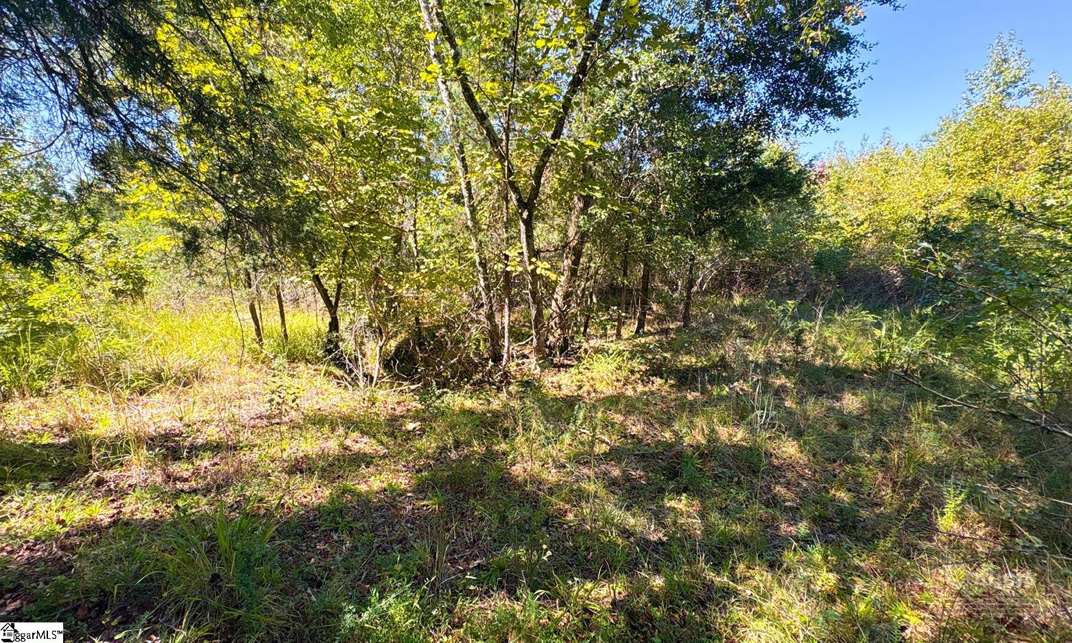 Blakely Road Property Photo 8