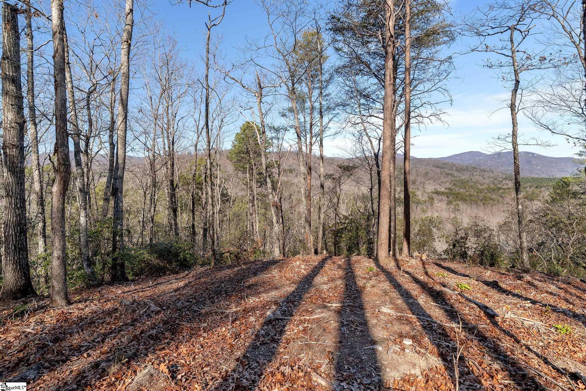 198 Wood Violet Trail Property Photo 1
