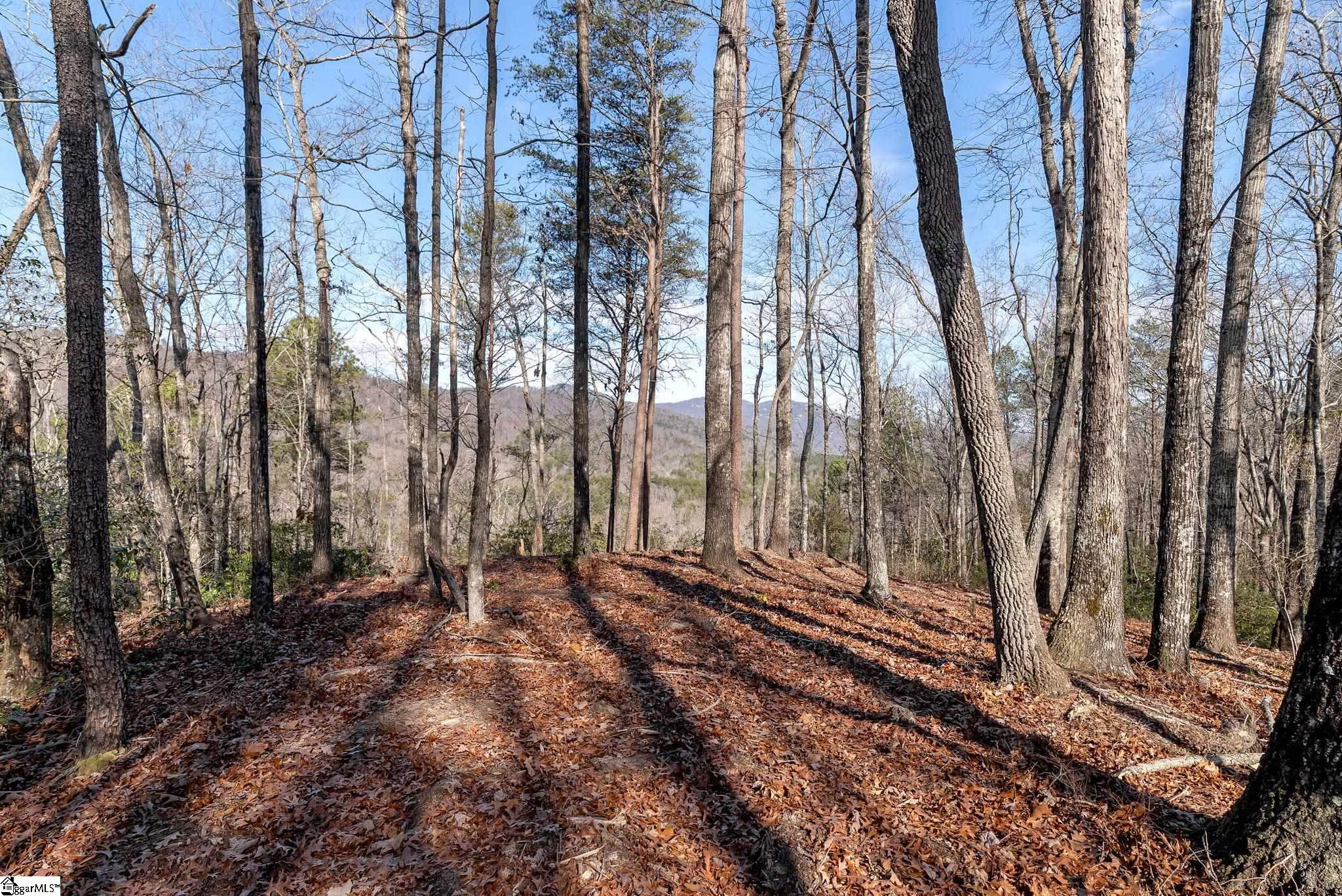 198 Wood Violet Trail Property Photo 2