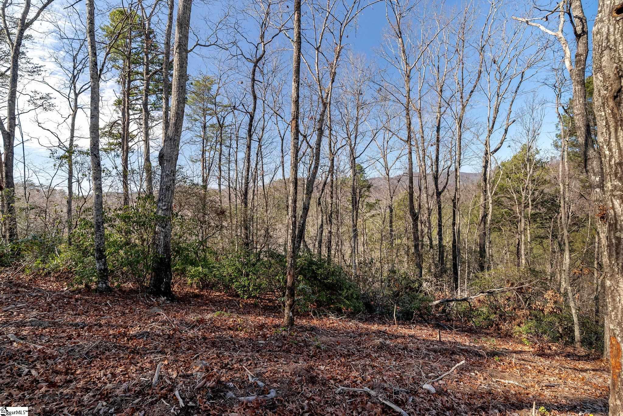 198 Wood Violet Trail Property Photo 3