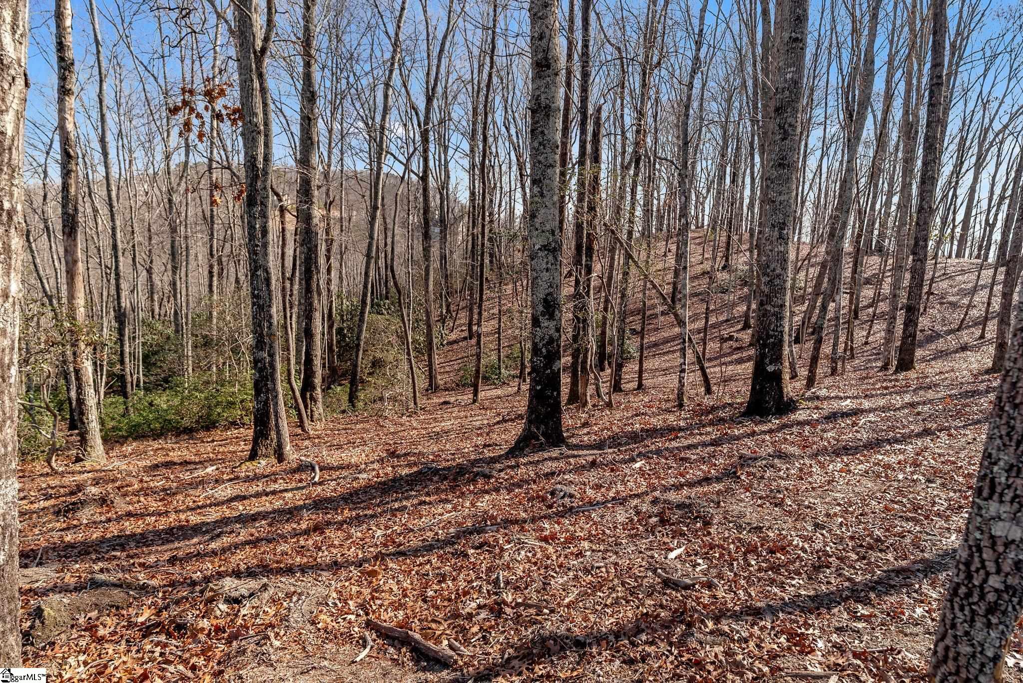 198 Wood Violet Trail Property Photo 4