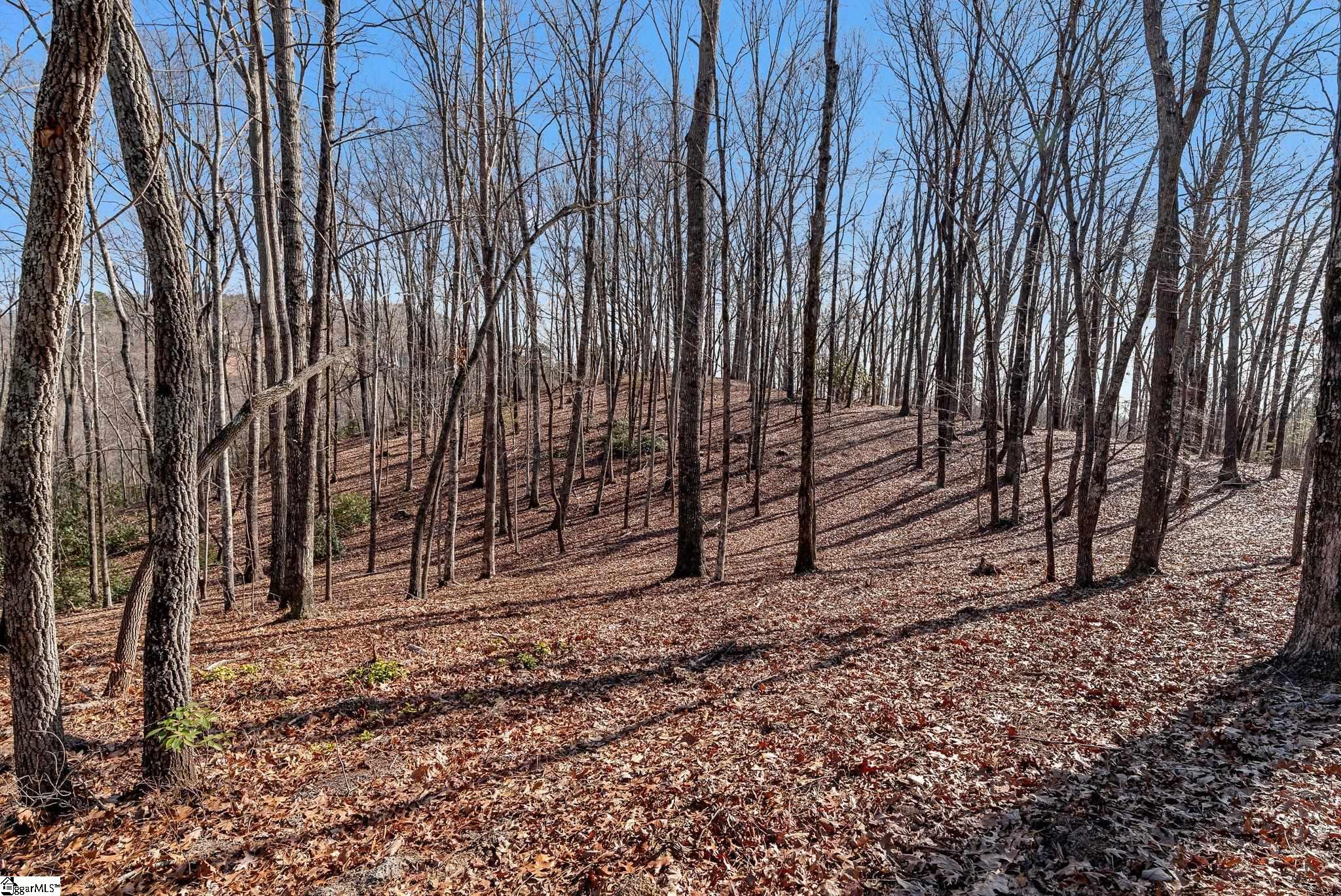 198 Wood Violet Trail Property Photo 5