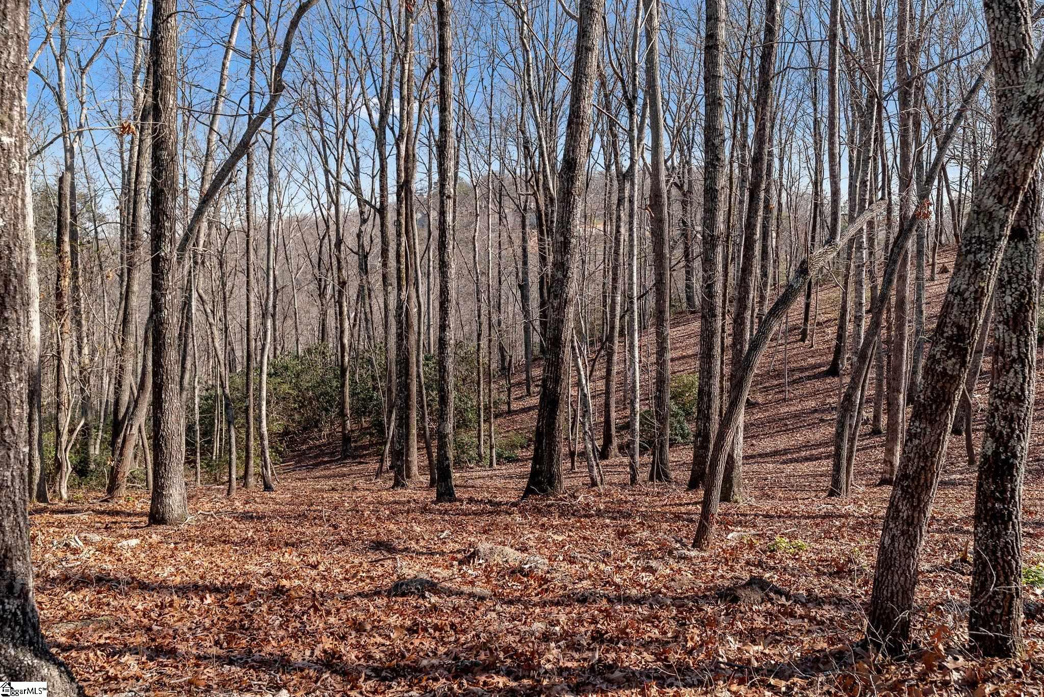 198 Wood Violet Trail Property Photo 6
