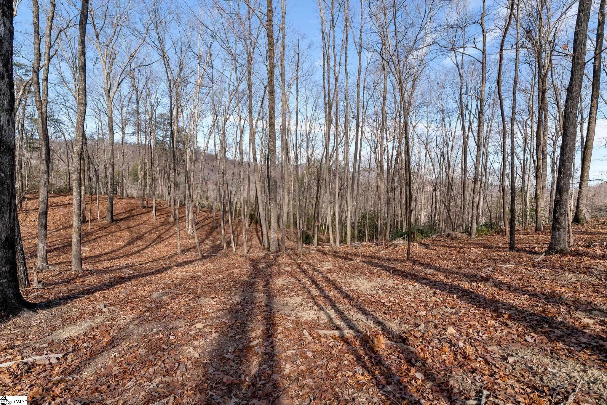 198 Wood Violet Trail Property Photo 7