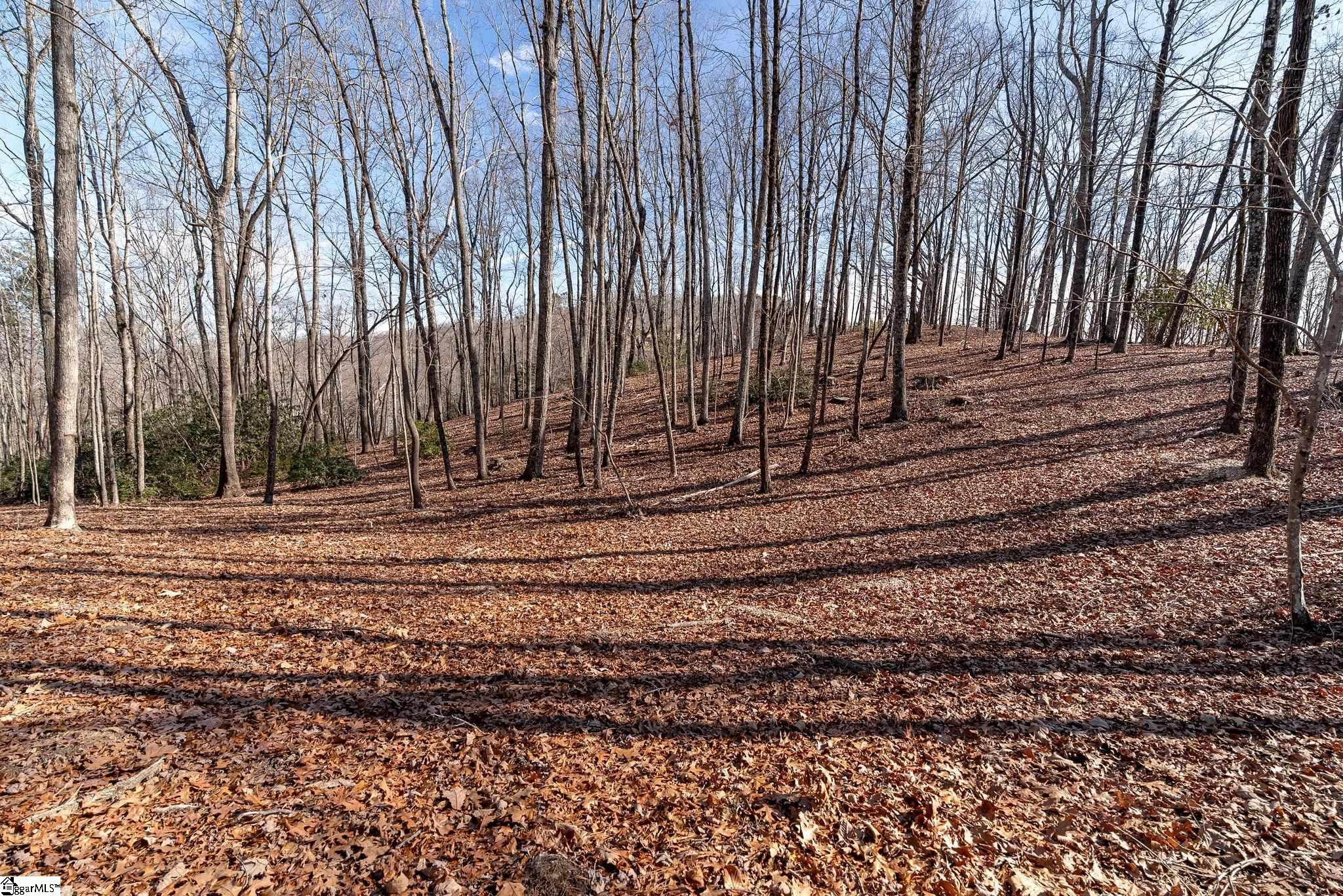 198 Wood Violet Trail Property Photo 8