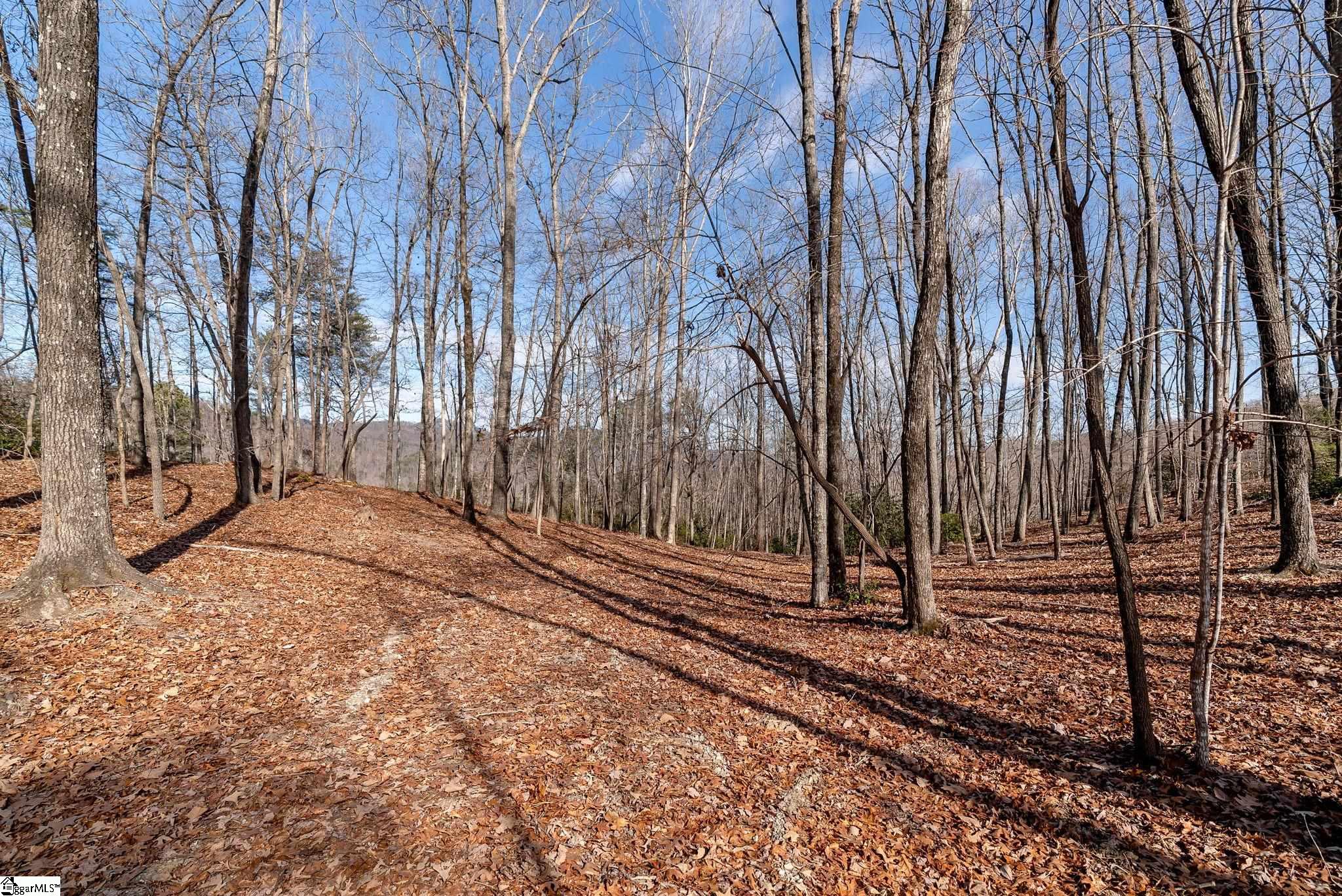 198 Wood Violet Trail Property Photo 9