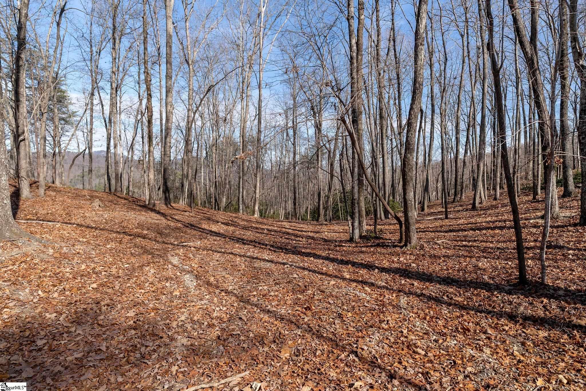 198 Wood Violet Trail Property Photo 10