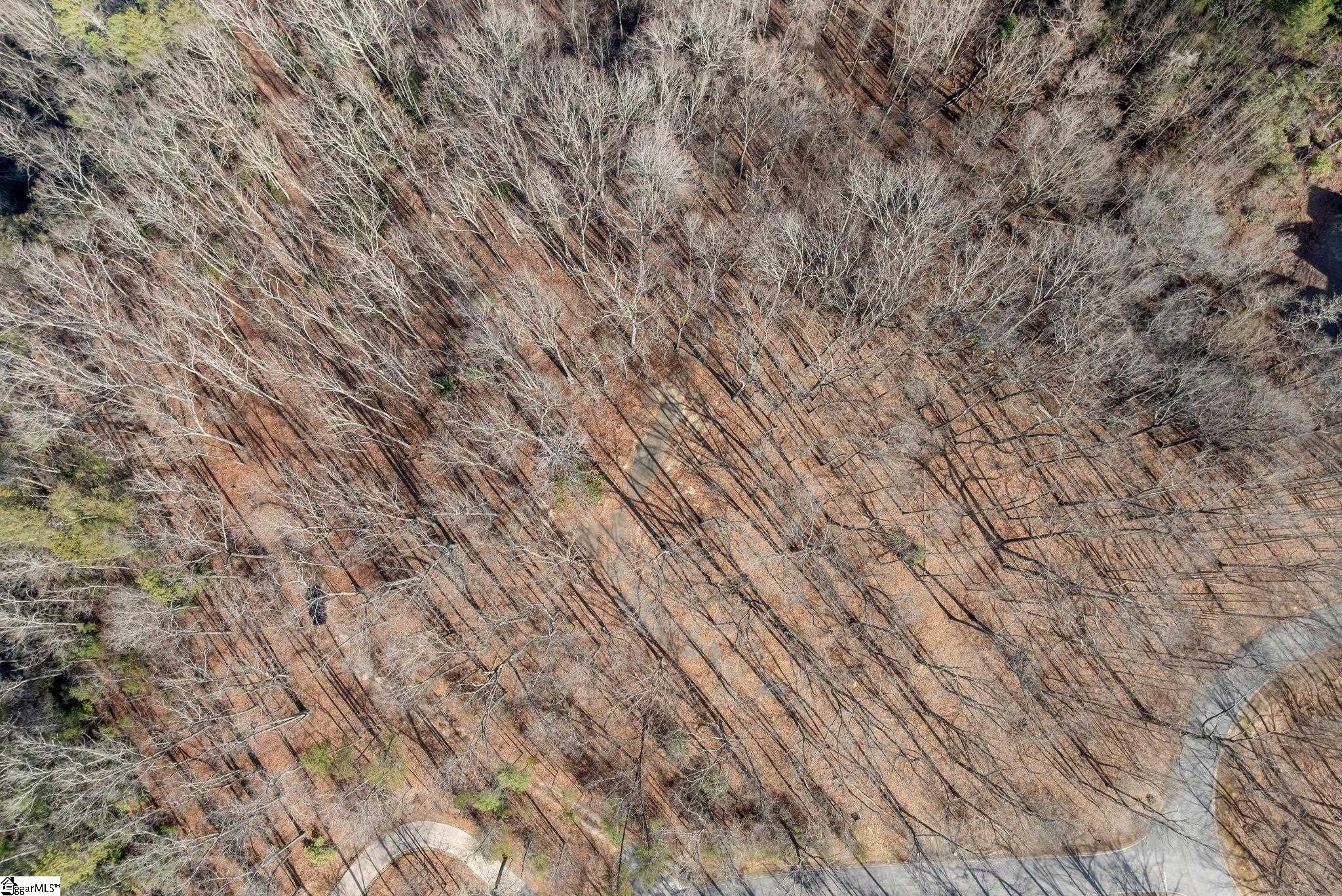 198 Wood Violet Trail Property Photo 11