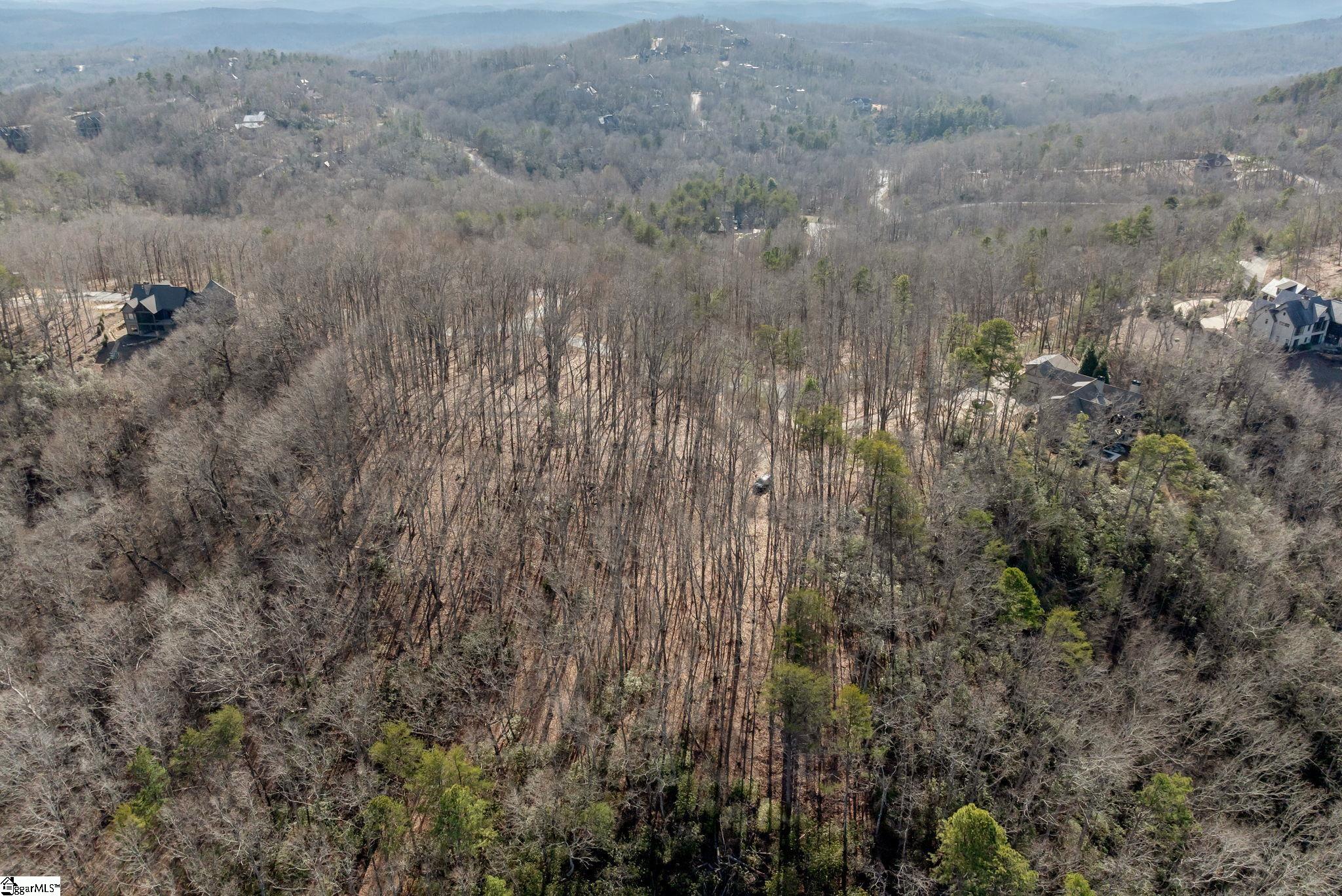 198 Wood Violet Trail Property Photo 12