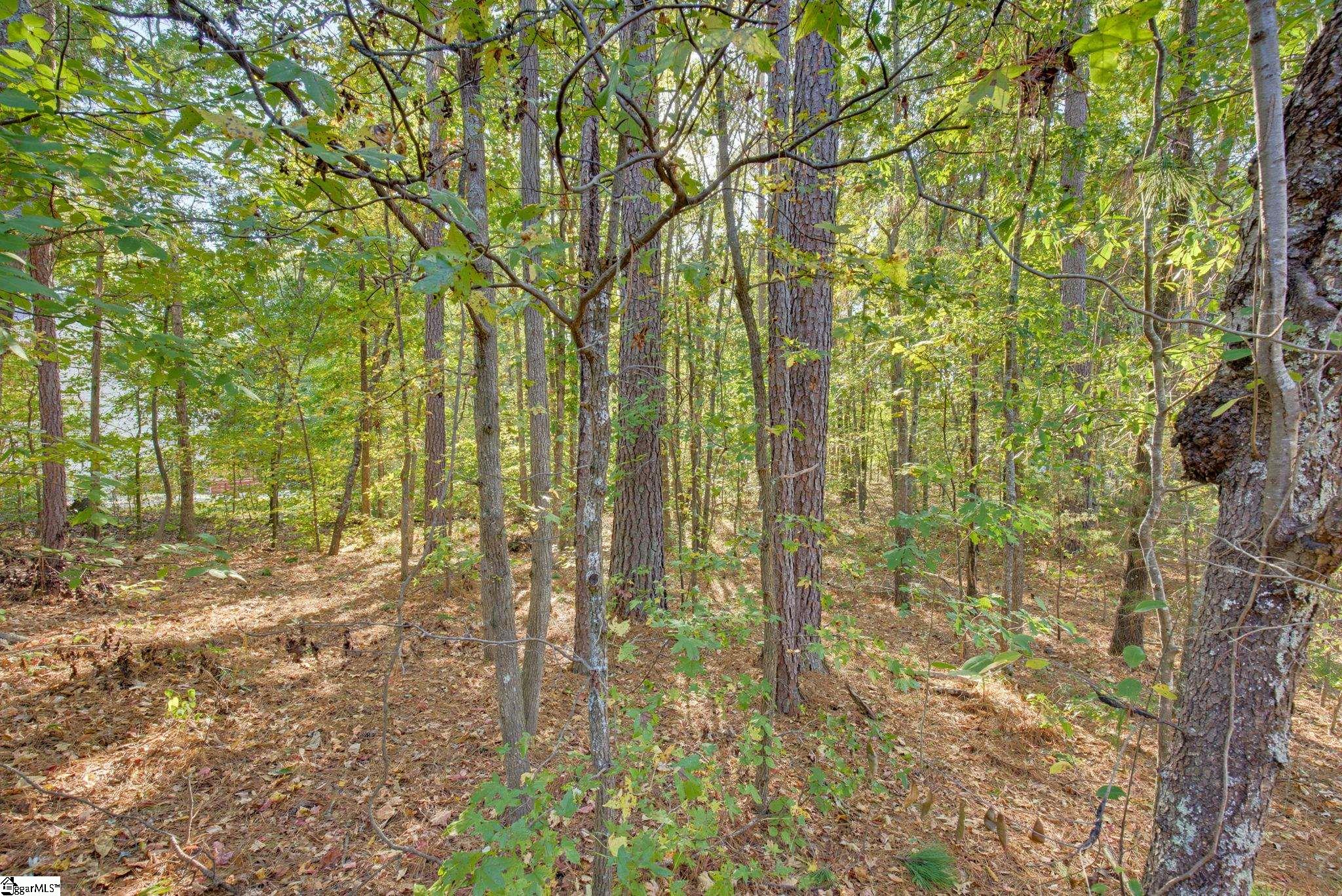 6 Rabon Chase Court Property Photo 3