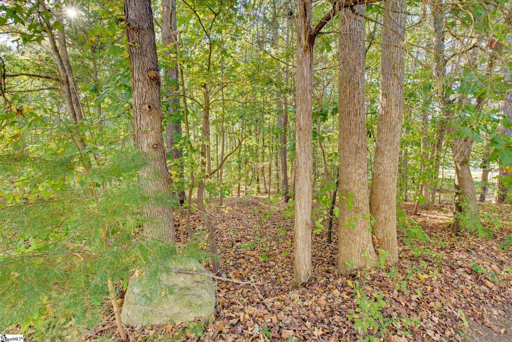 6 Rabon Chase Court Property Photo 5