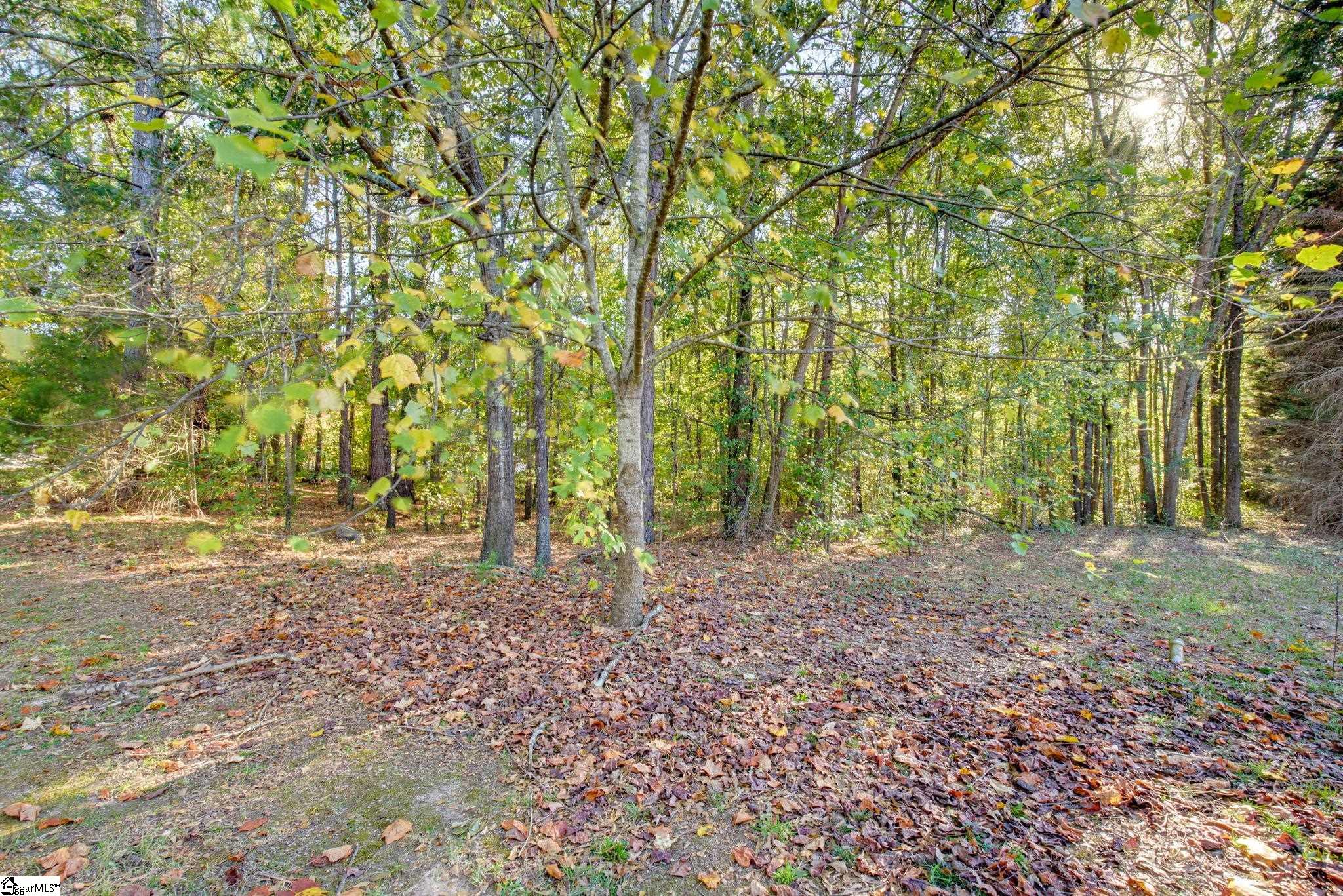 6 Rabon Chase Court Property Photo 6
