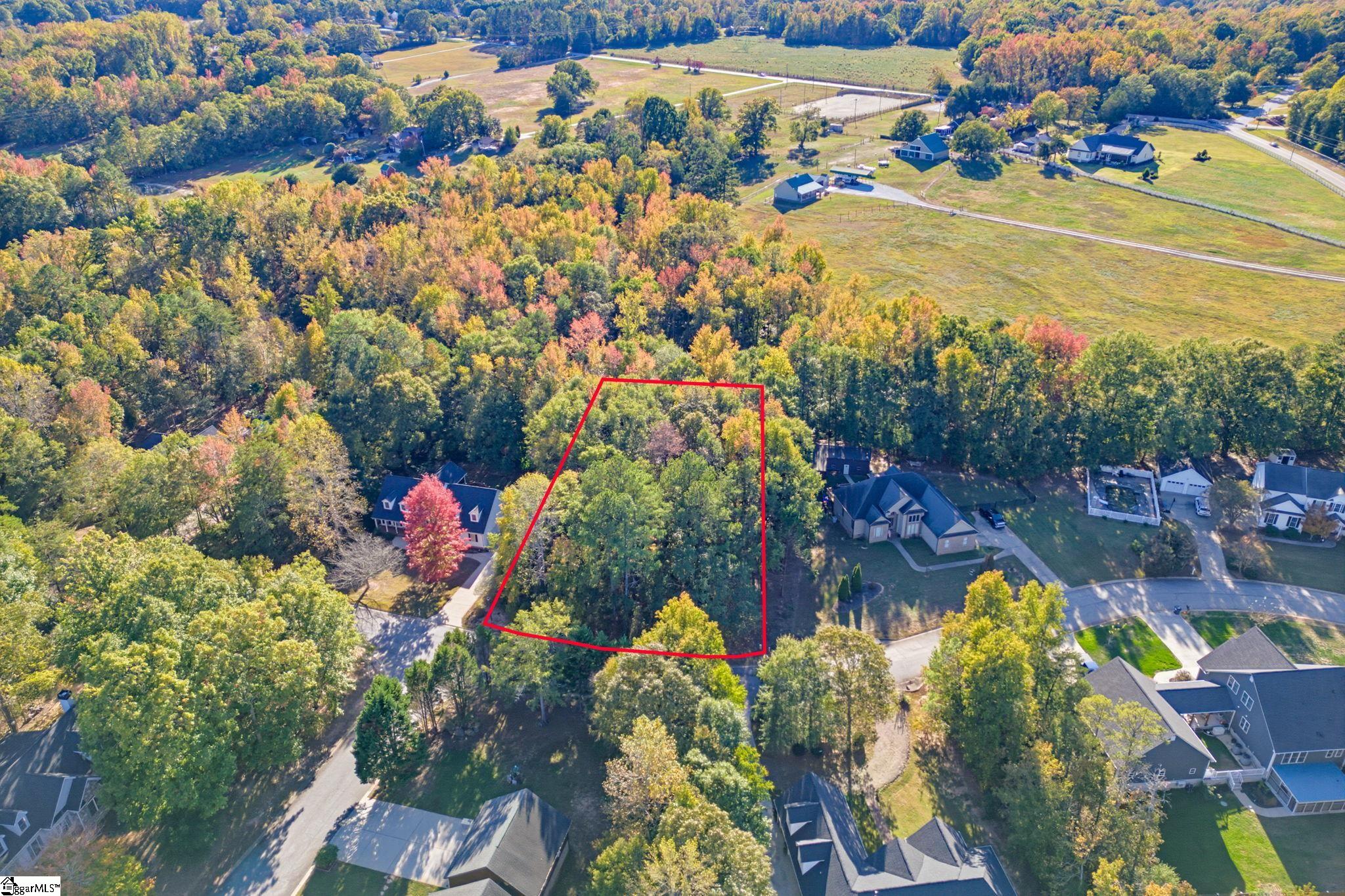 6 Rabon Chase Court Property Photo 8