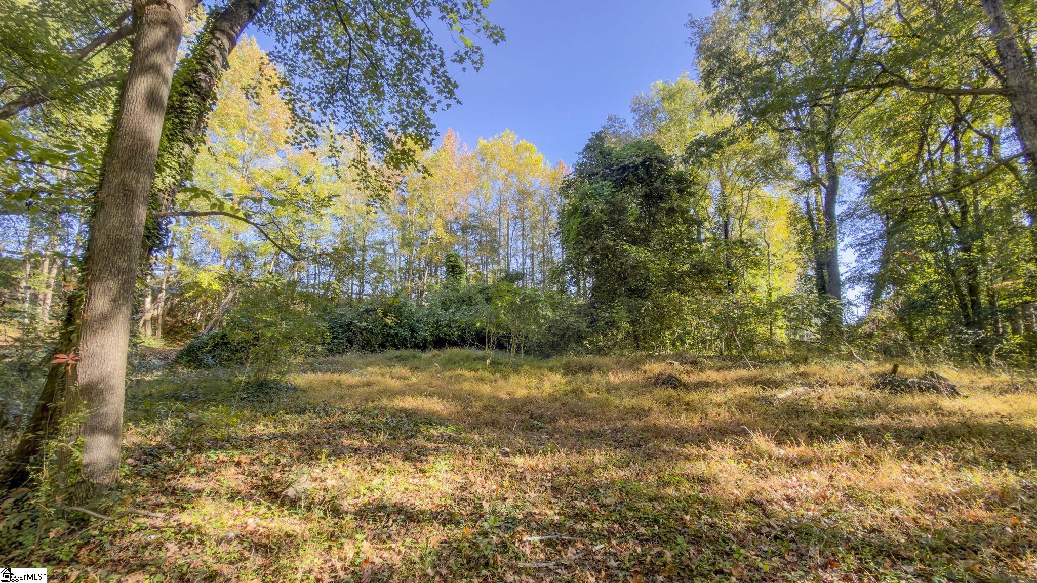 401 Old Jones Road Property Photo 5