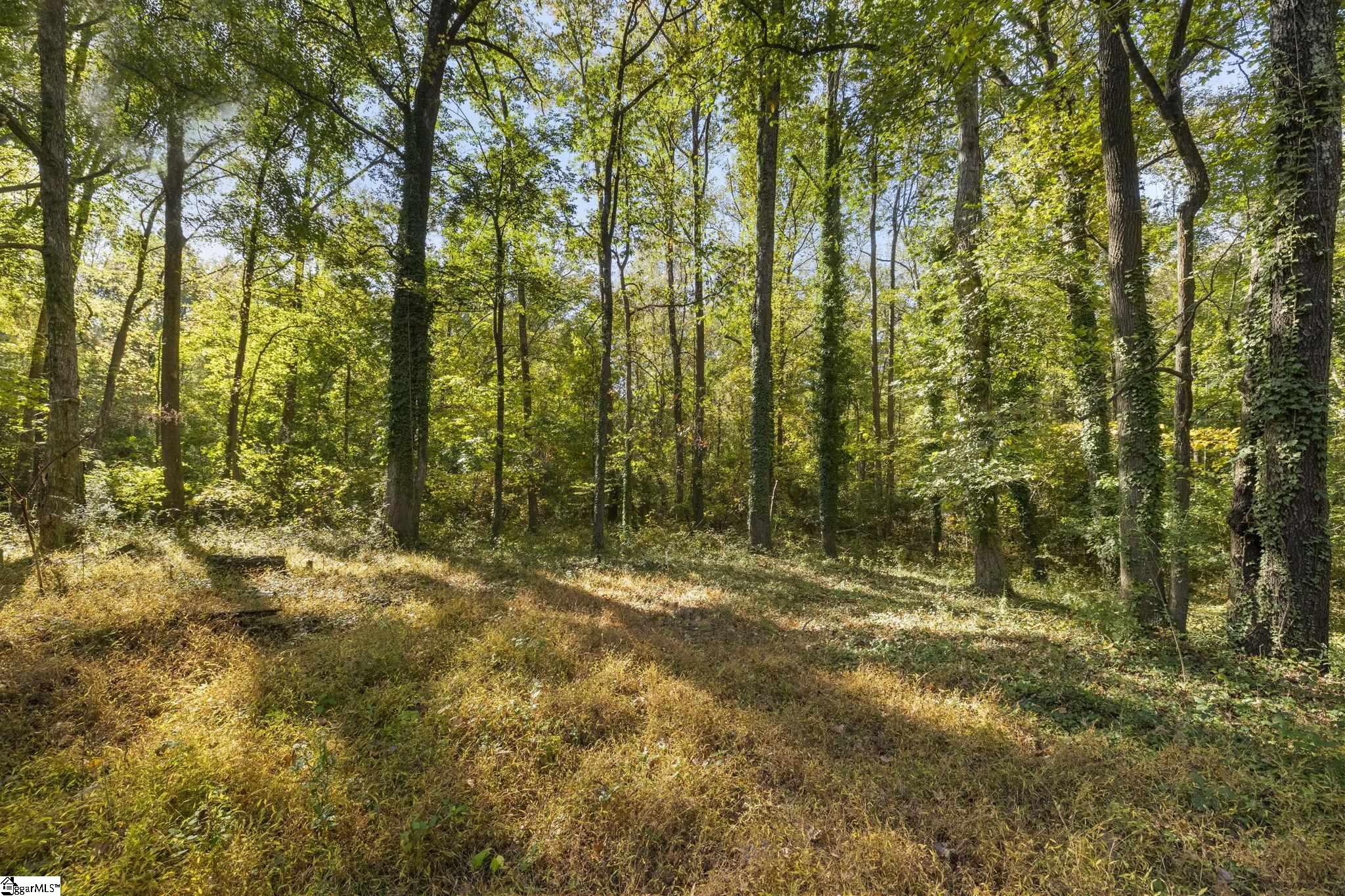 401 Old Jones Road Property Photo 6