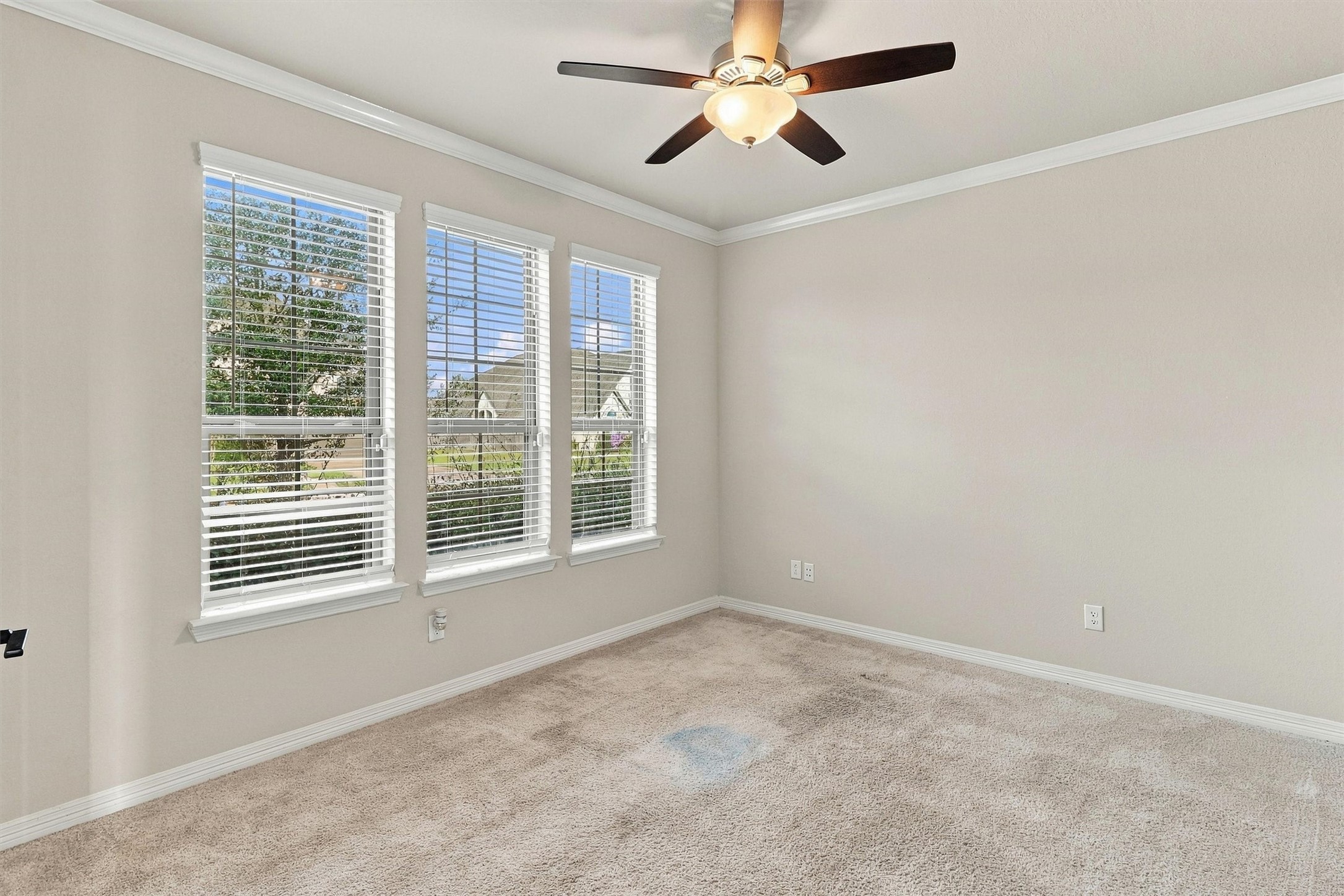 1638 Rosedale Drive Property Photo 6