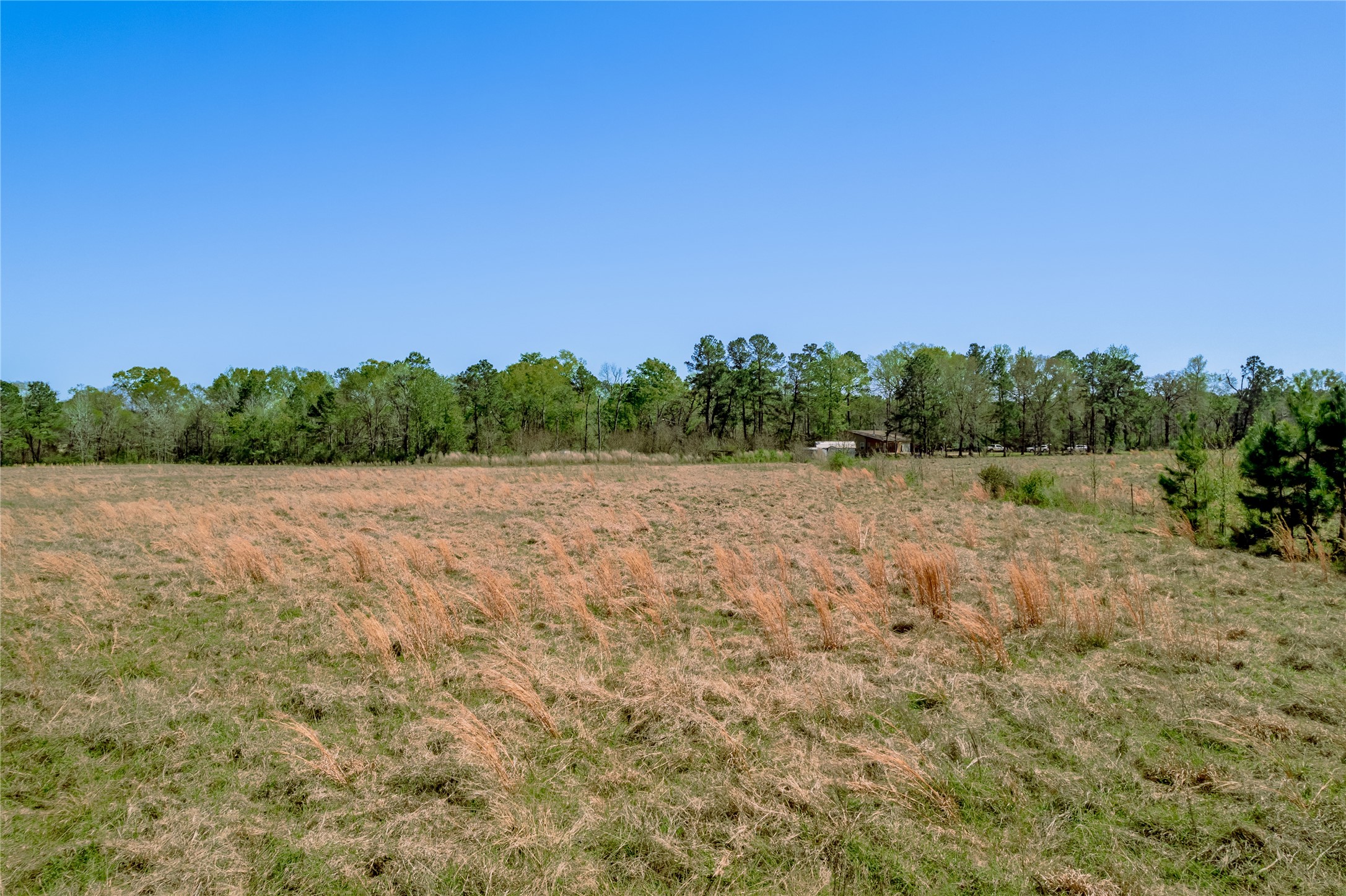 Na Kickapoo Road Property Photo 7