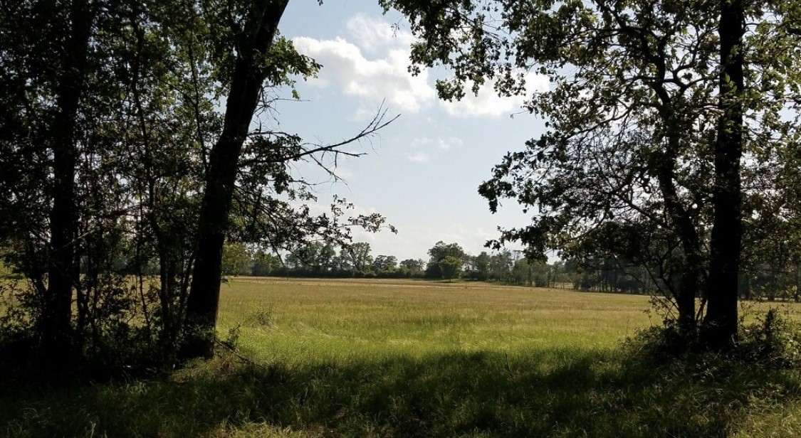 Na Kickapoo Road Property Photo 11