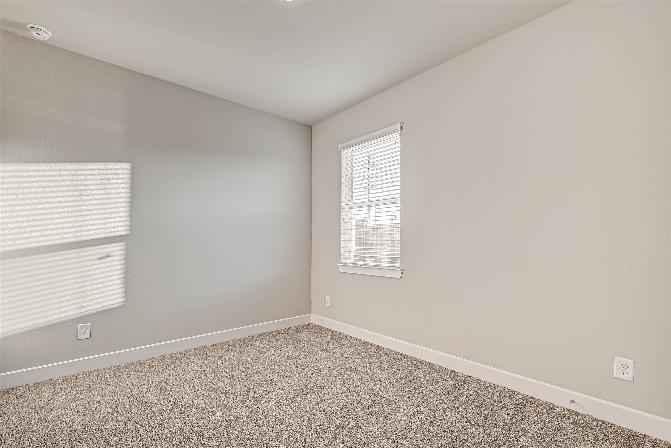21543 Eads Creek Drive Property Photo 28