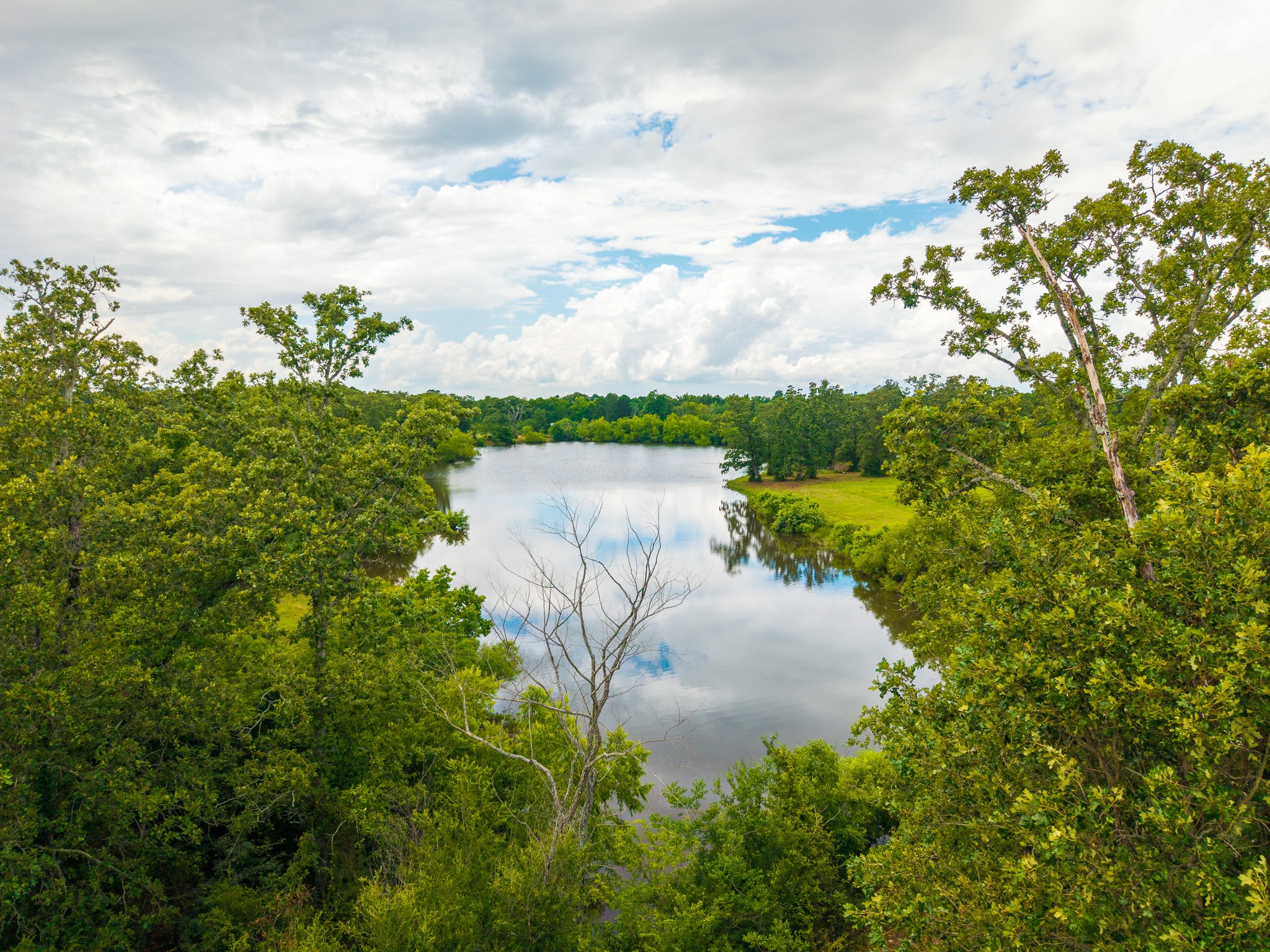 1406 State Highway 21 E Property Photo 48