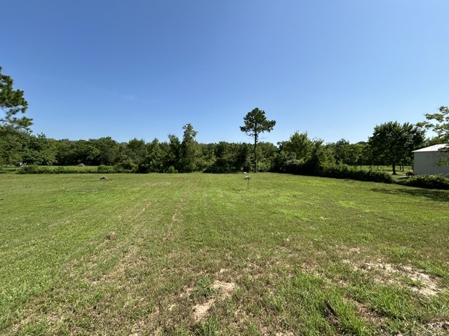 101 Smilie Crossing Property Photo 8